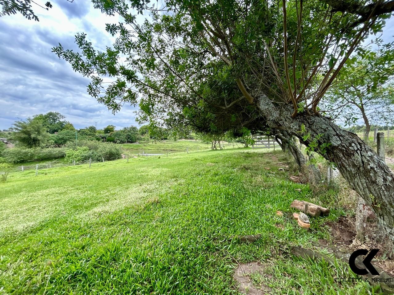 Fazenda à venda com 3 quartos, 15000m² - Foto 22