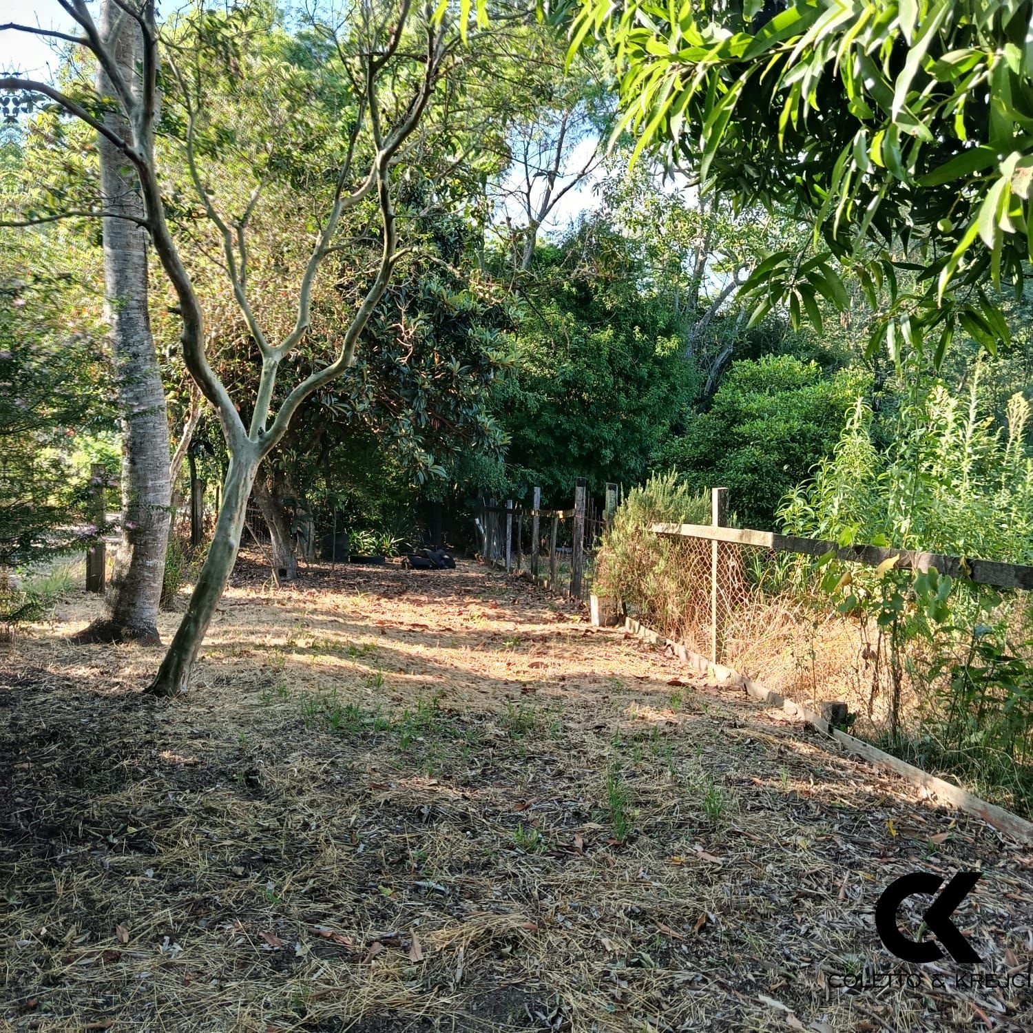 Sítio, 2 quartos, 2 hectares - Foto 15