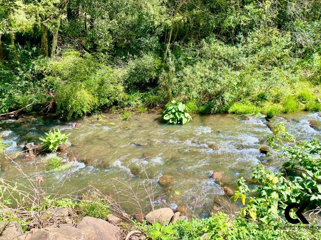 Fazenda à venda com 3 quartos, 50000m² - Foto 7