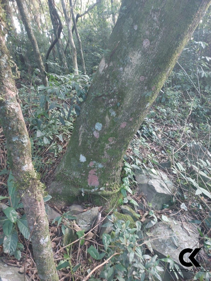 Terreno, 880 m² - Foto 4