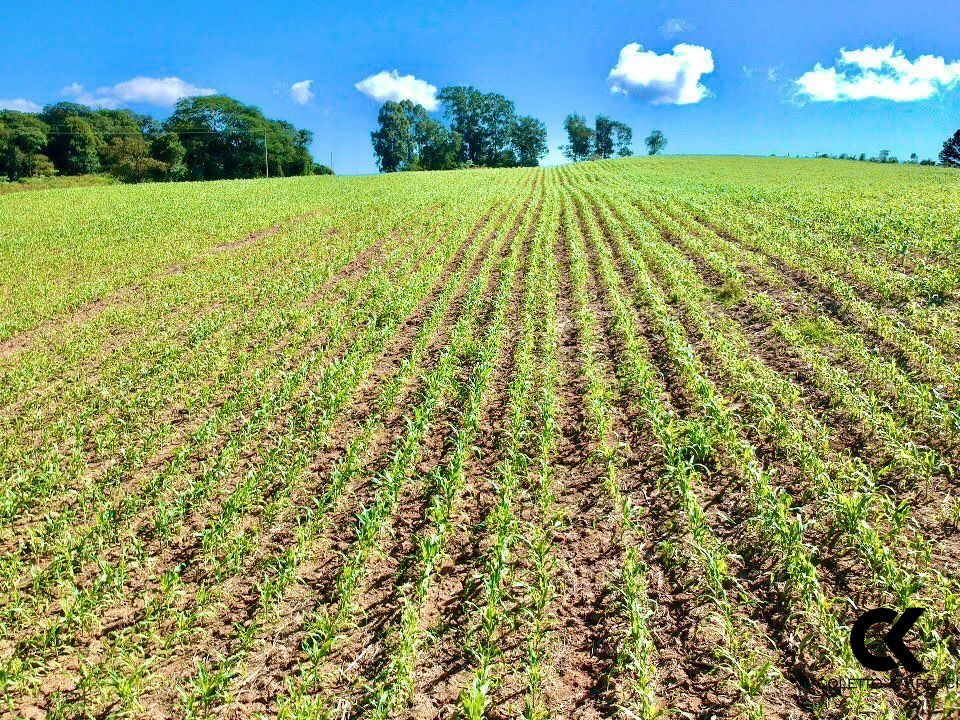 Loteamento e Condomínio à venda, 280000000m² - Foto 5