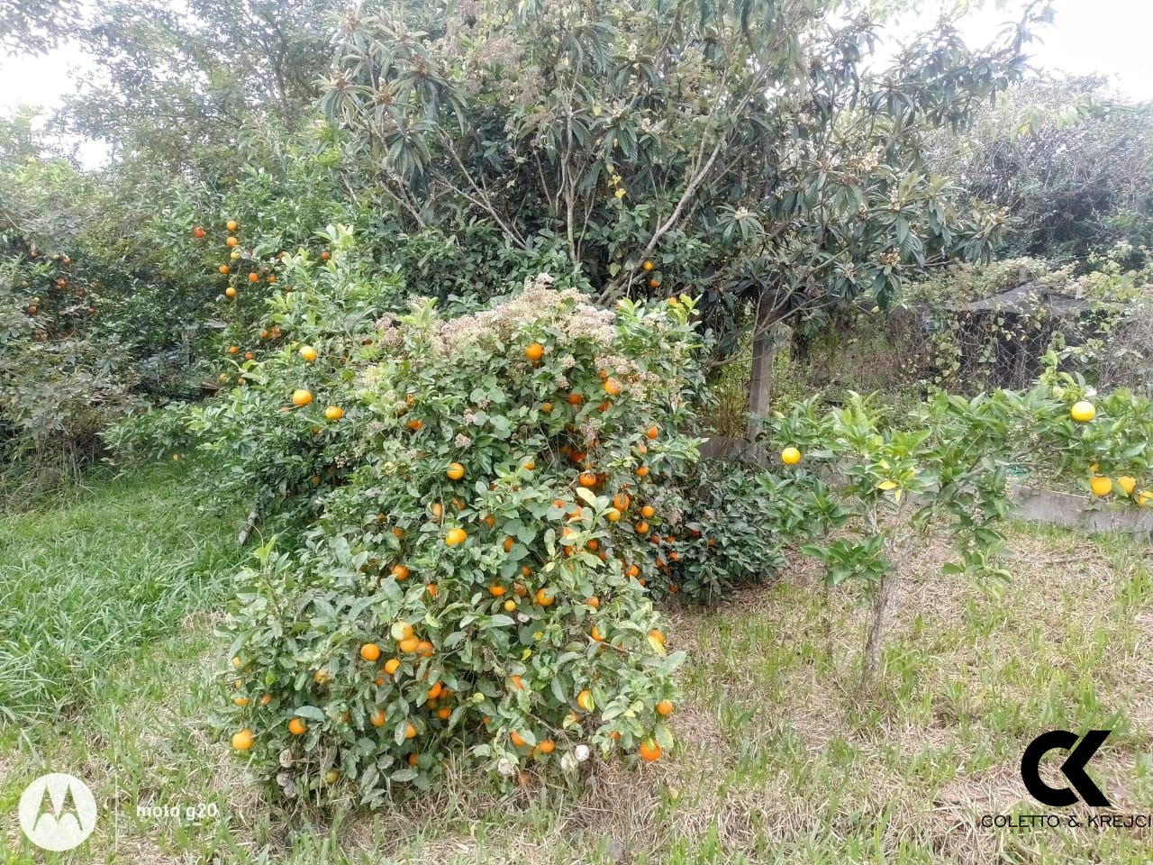 Sítio, 2 quartos, 3500 m² - Foto 13