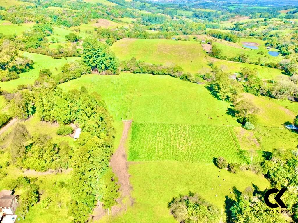 Fazenda à venda com 4 quartos, 240000m² - Foto 30