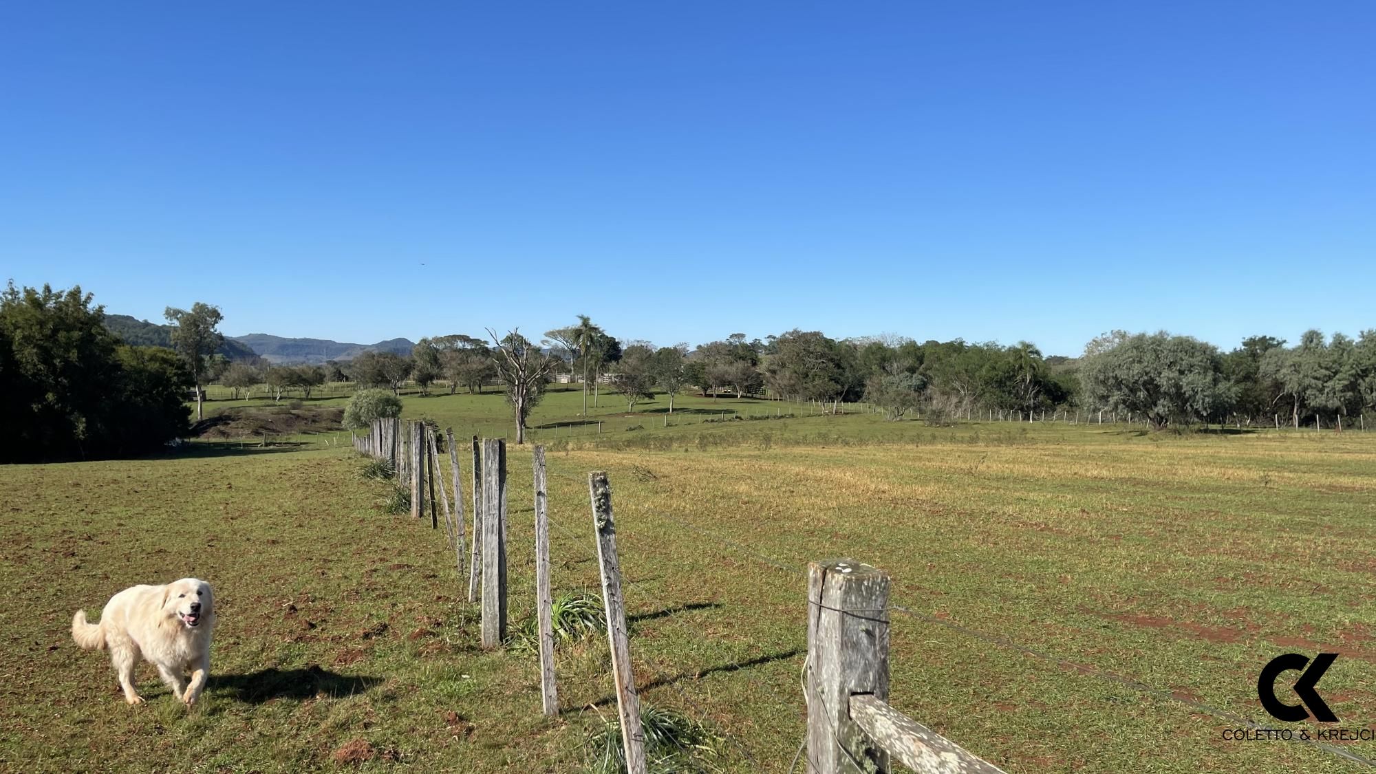 Loteamento e Condomínio à venda, 229000m² - Foto 13