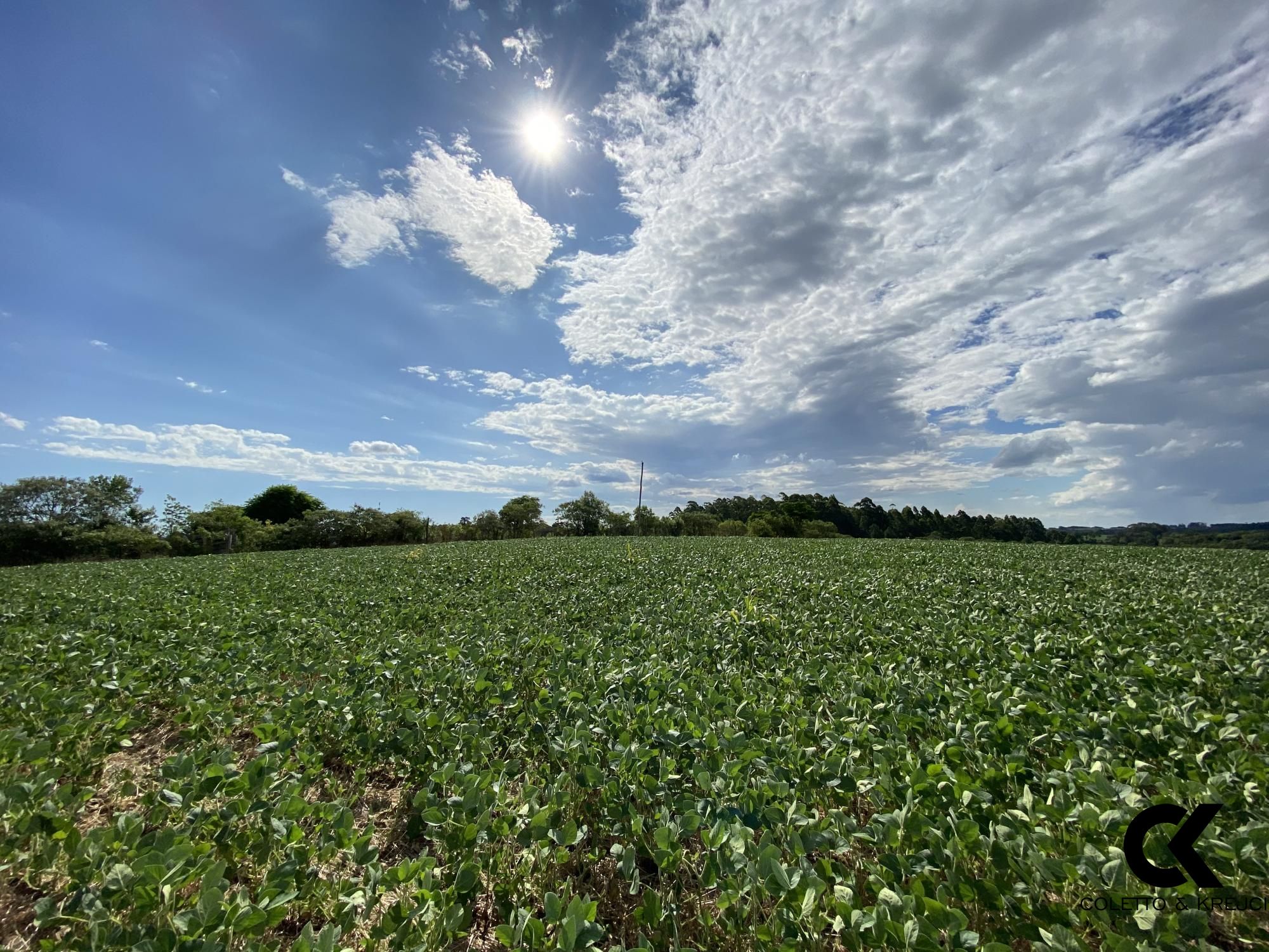 Loteamento e Condomínio à venda, 78000m² - Foto 5