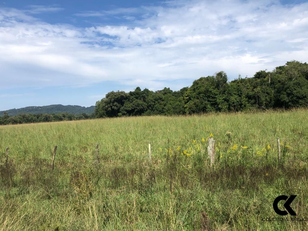 Fazenda à venda com 3 quartos, 32750000m² - Foto 3