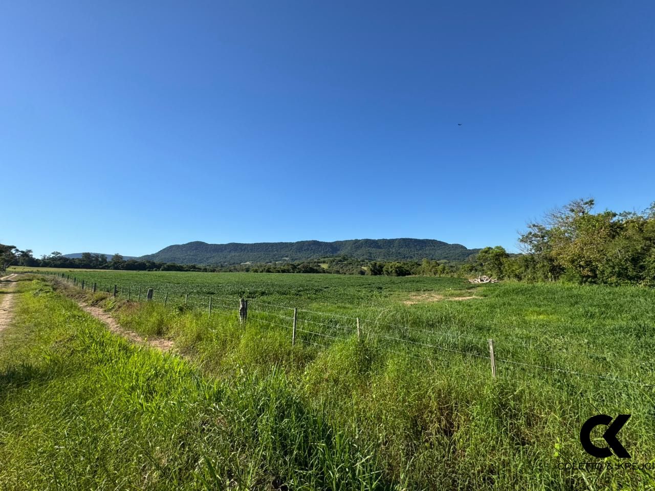 Sítio, 26 hectares - Foto 1