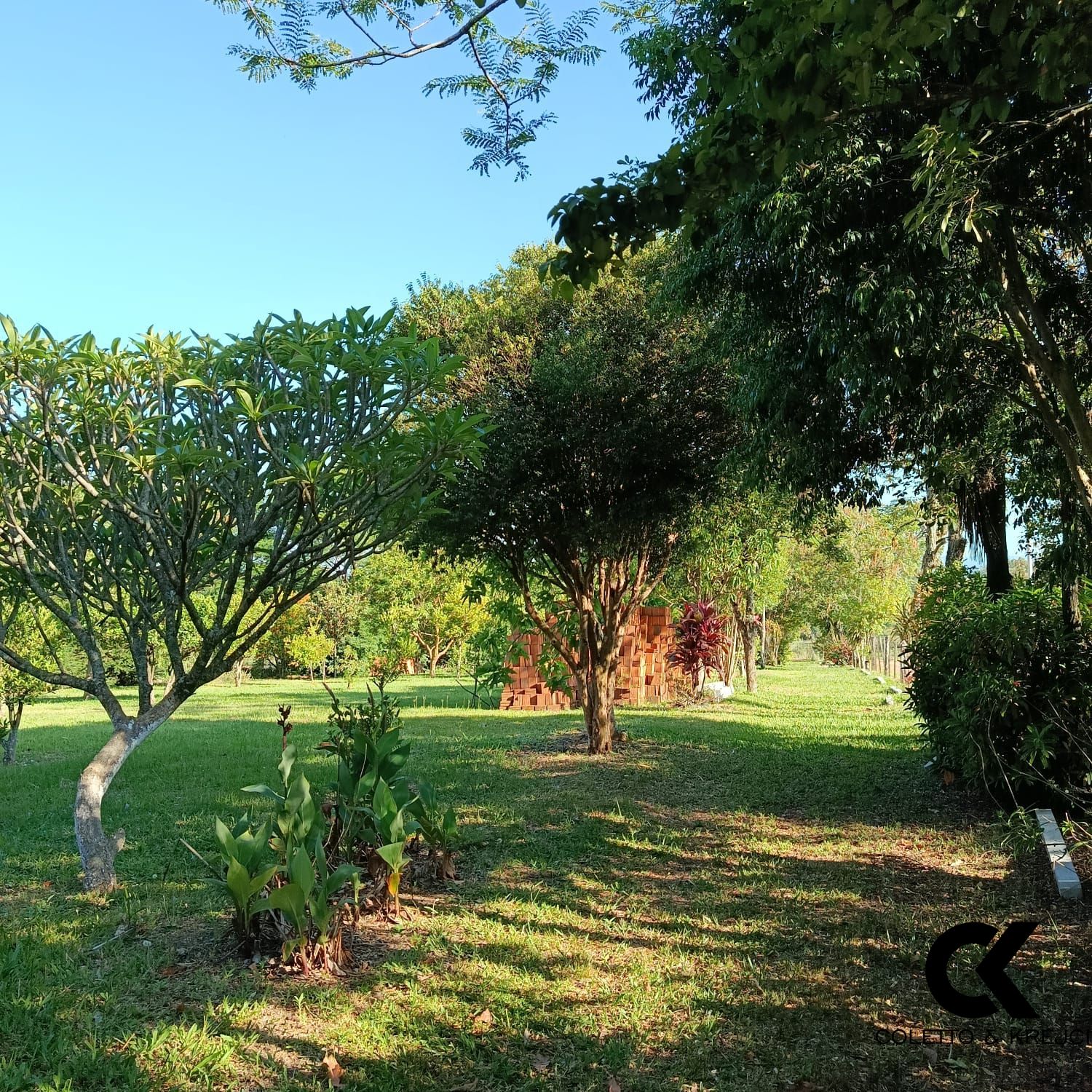 Sítio, 2 quartos, 2 hectares - Foto 10