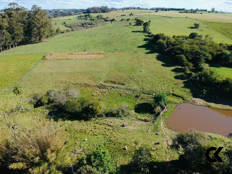 Fazenda à venda com 3 quartos, 195m² - Foto 20