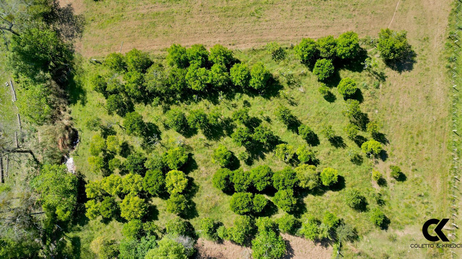 Fazenda à venda com 10 quartos, 600m² - Foto 32