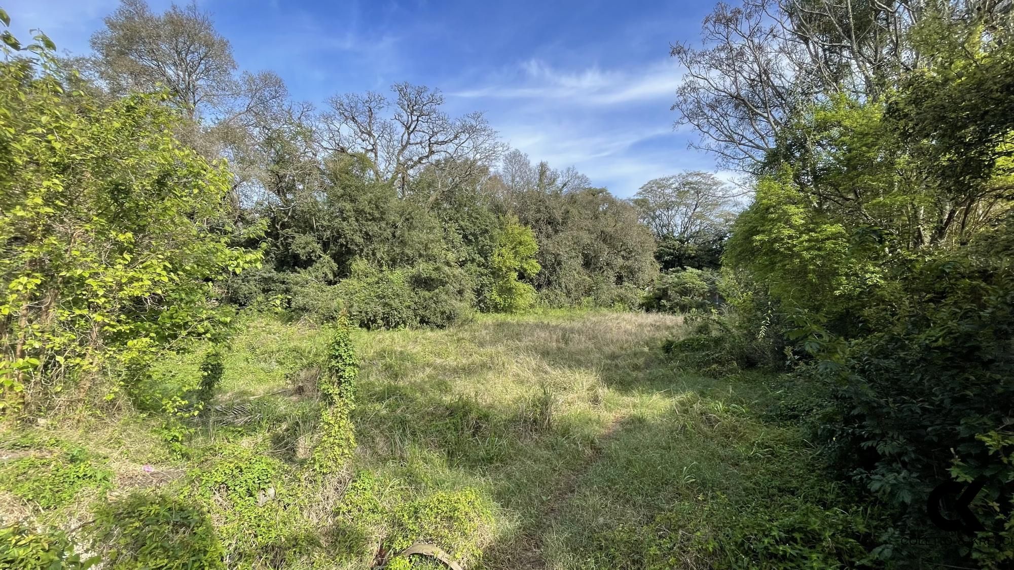 Terreno, 3548 m² - Foto 1