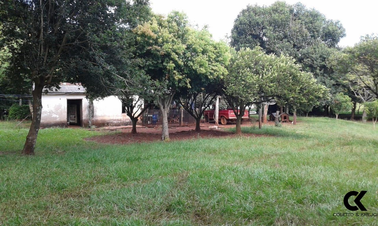 Fazenda à venda com 2 quartos, 150m² - Foto 12