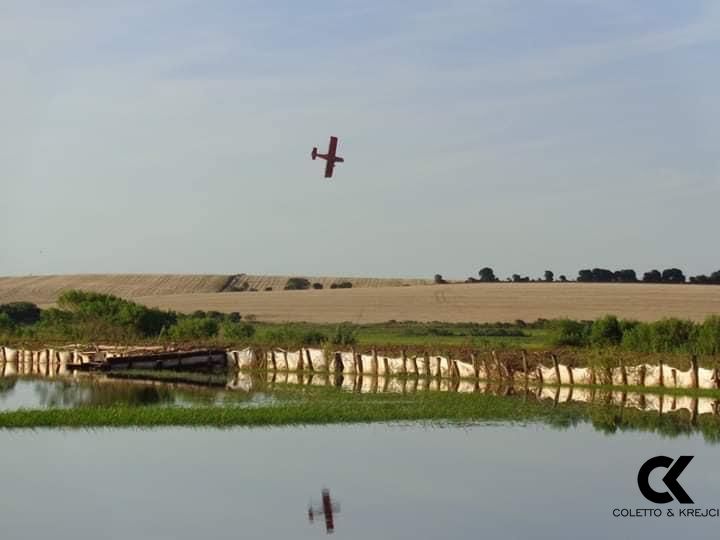 Fazenda à venda com 2 quartos, 150m² - Foto 9