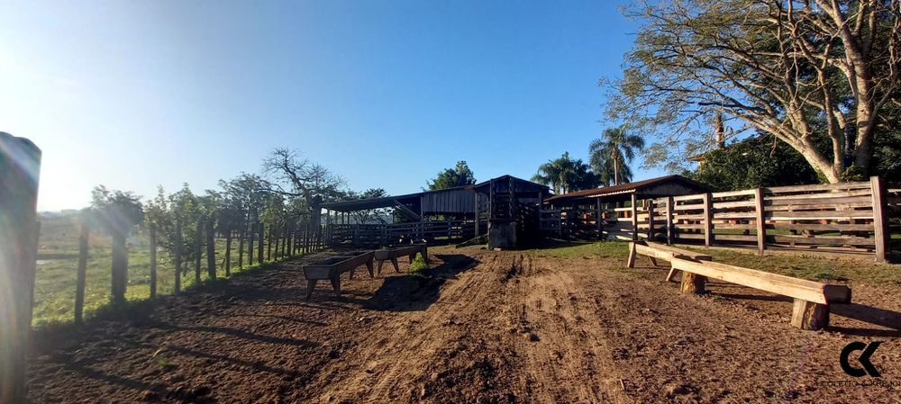 Fazenda, 7 hectares - Foto 15