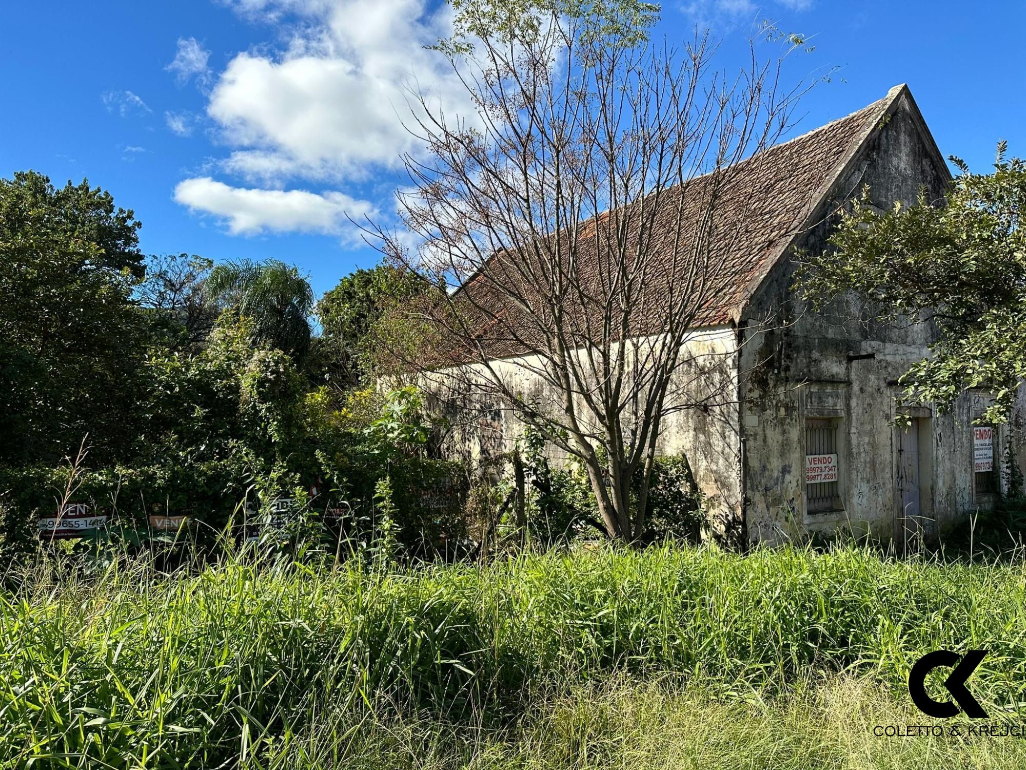 Terreno à venda, 3200m² - Foto 1