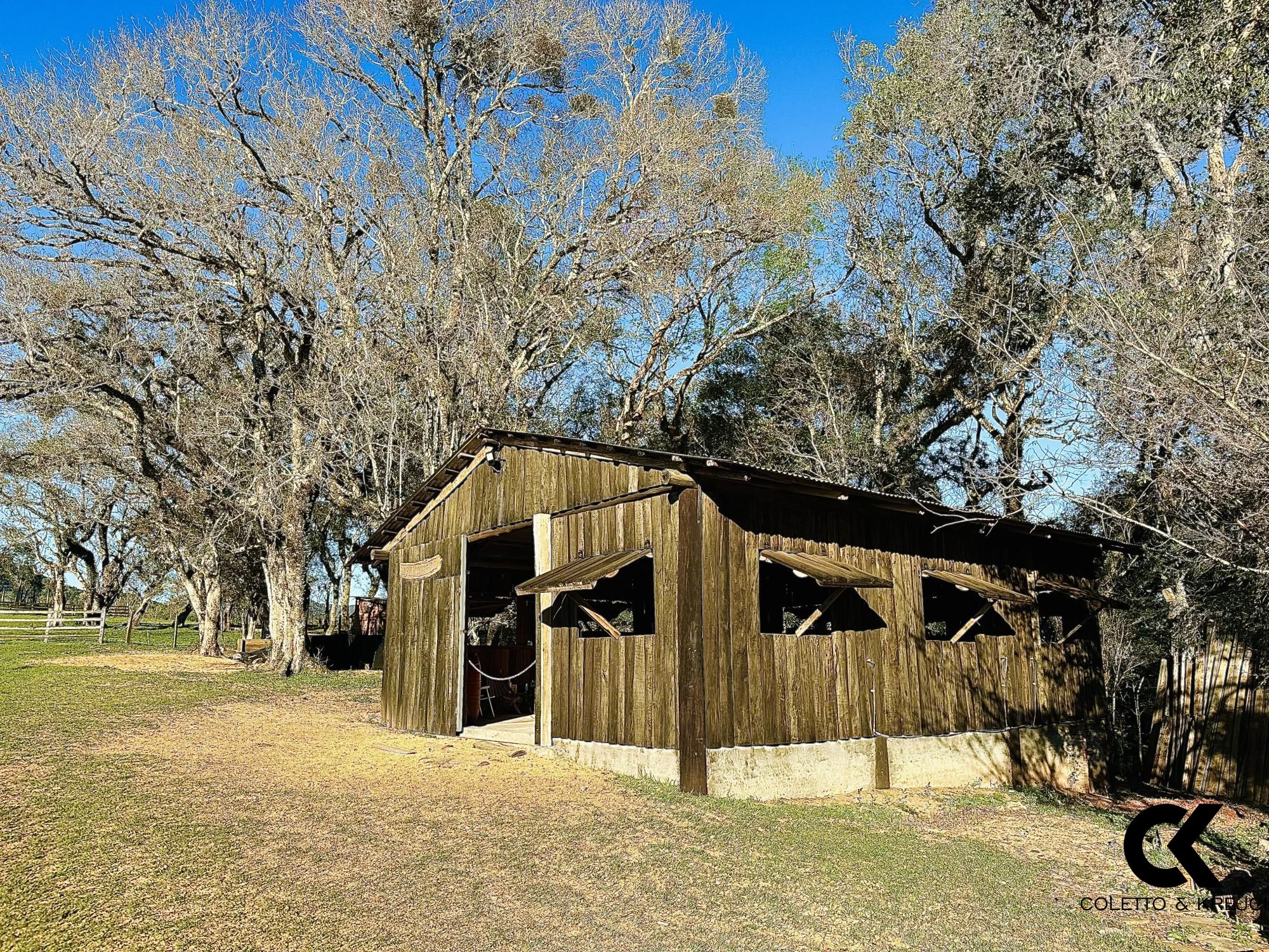 Fazenda à venda com 3 quartos, 54500m² - Foto 16