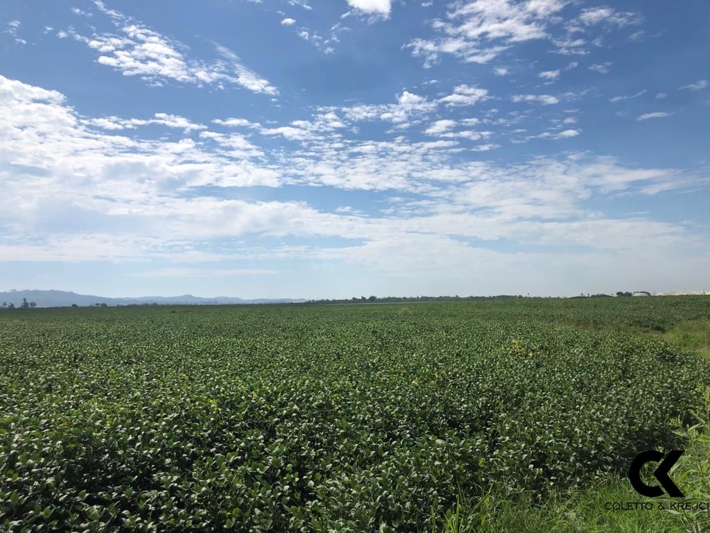 Fazenda à venda com 3 quartos, 32750000m² - Foto 1