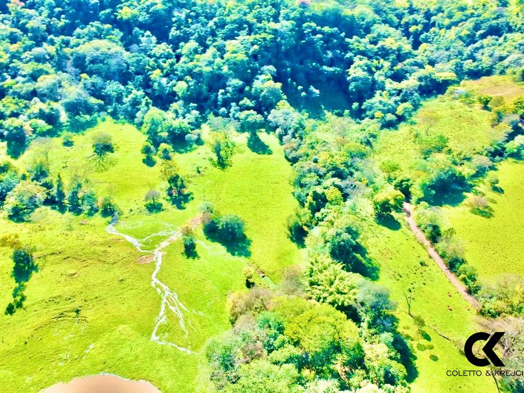 Fazenda à venda com 4 quartos, 240000m² - Foto 29