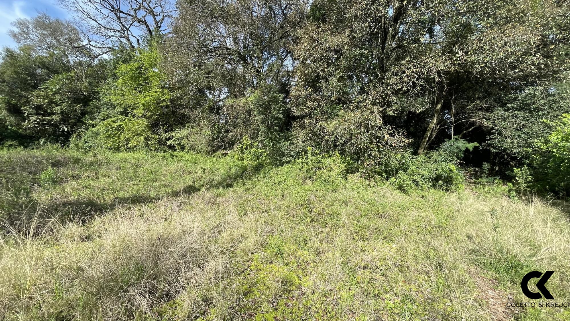 Terreno, 3548 m² - Foto 2