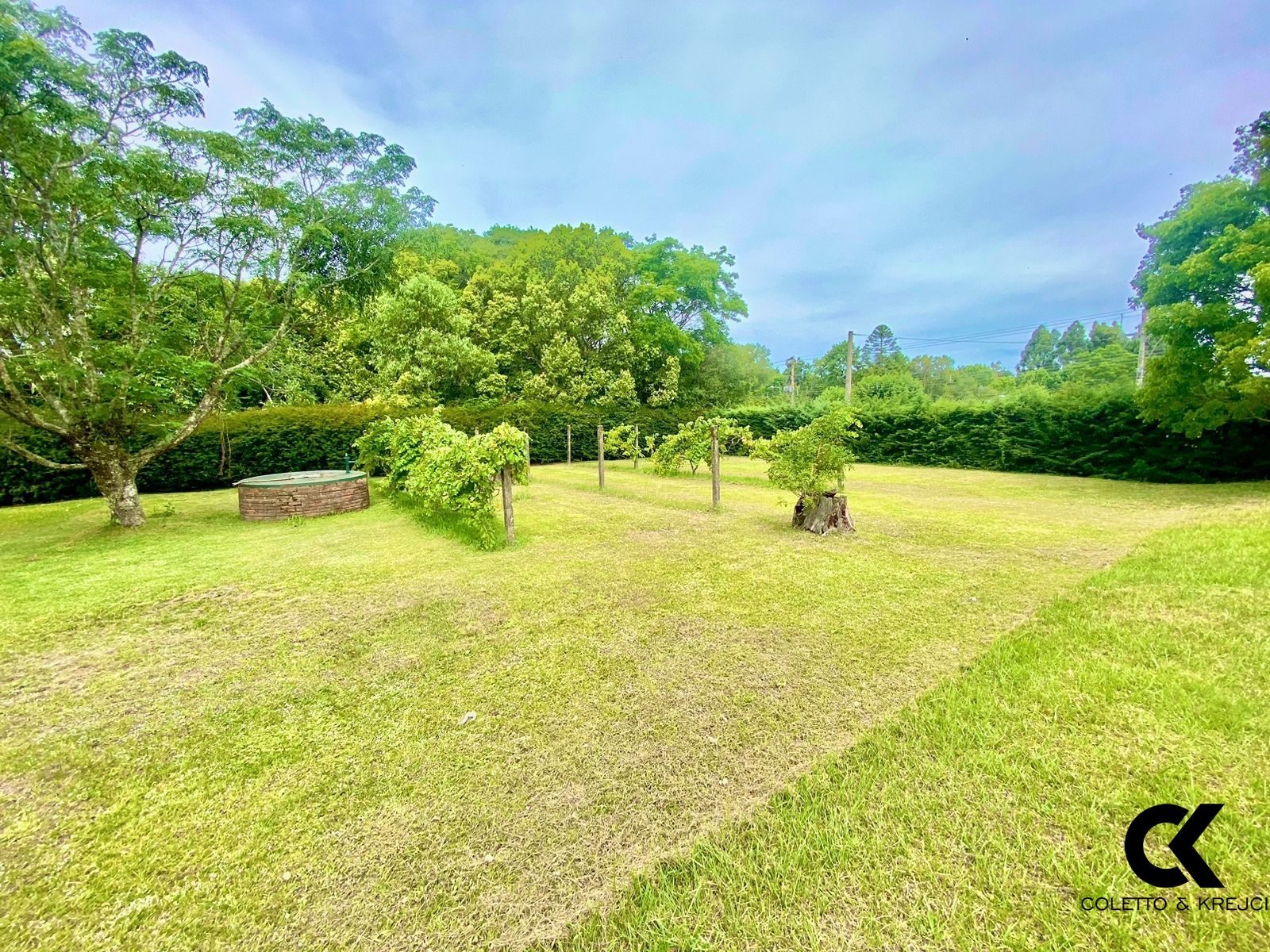 Fazenda à venda com 3 quartos, 6000m² - Foto 7