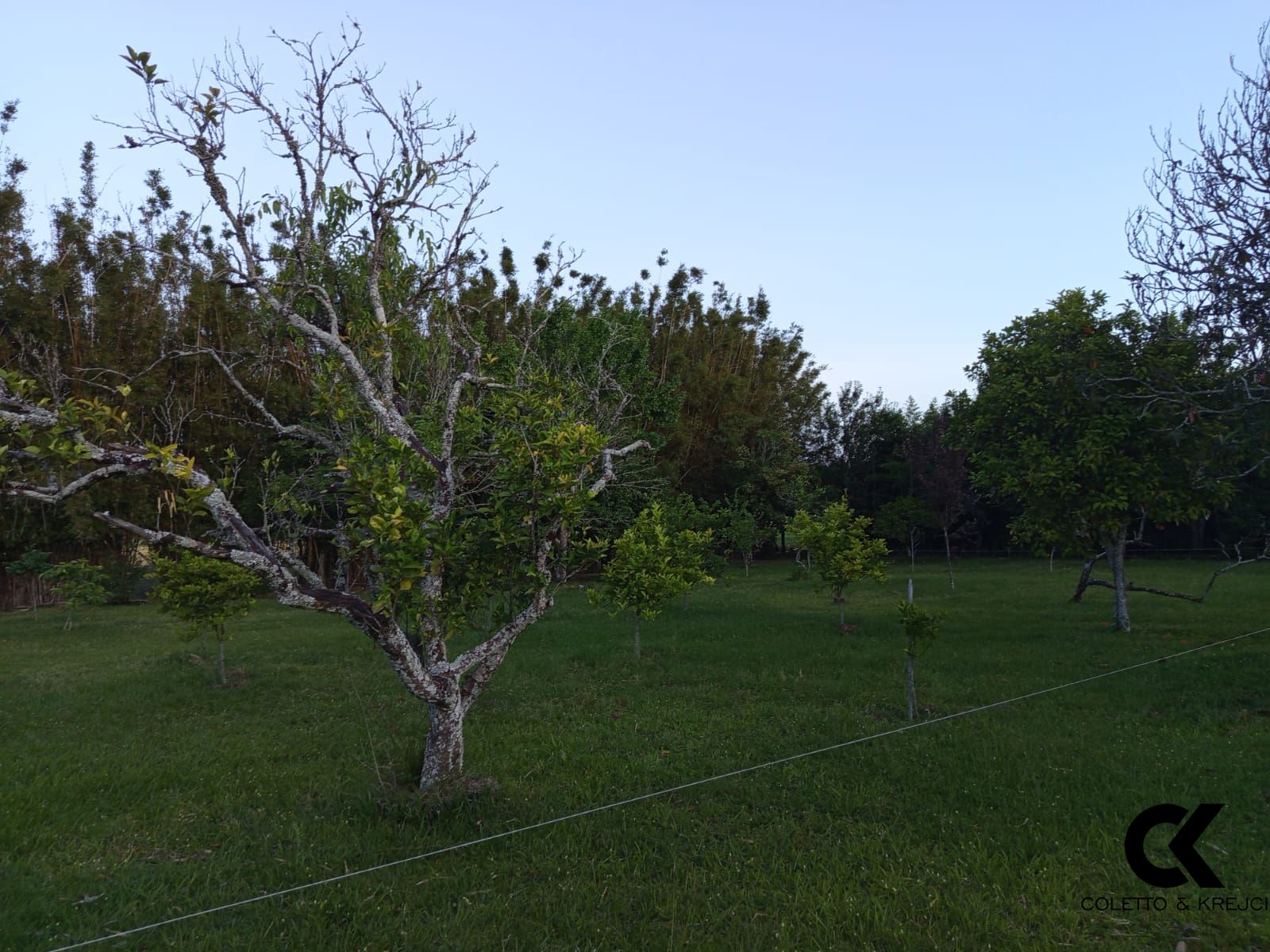 Sítio, 2 quartos, 50000 hectares - Foto 1