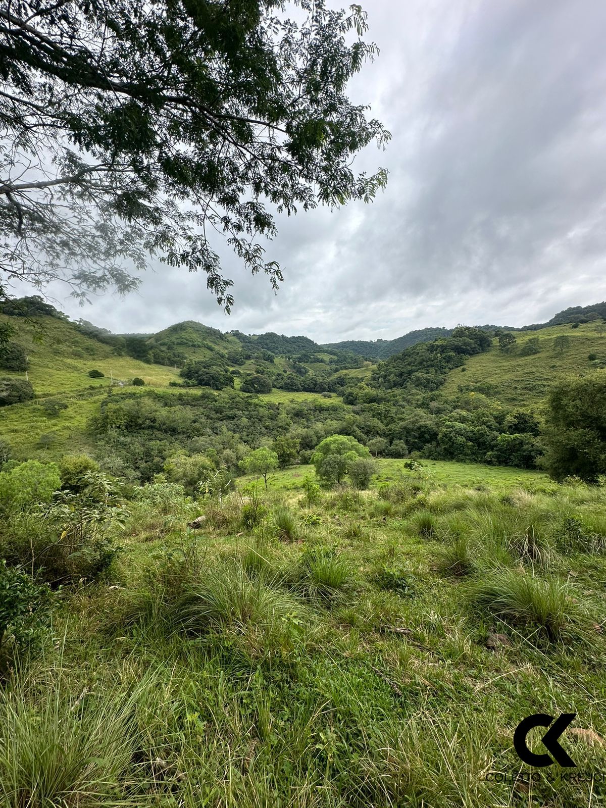 Fazenda à venda, 48400m² - Foto 13