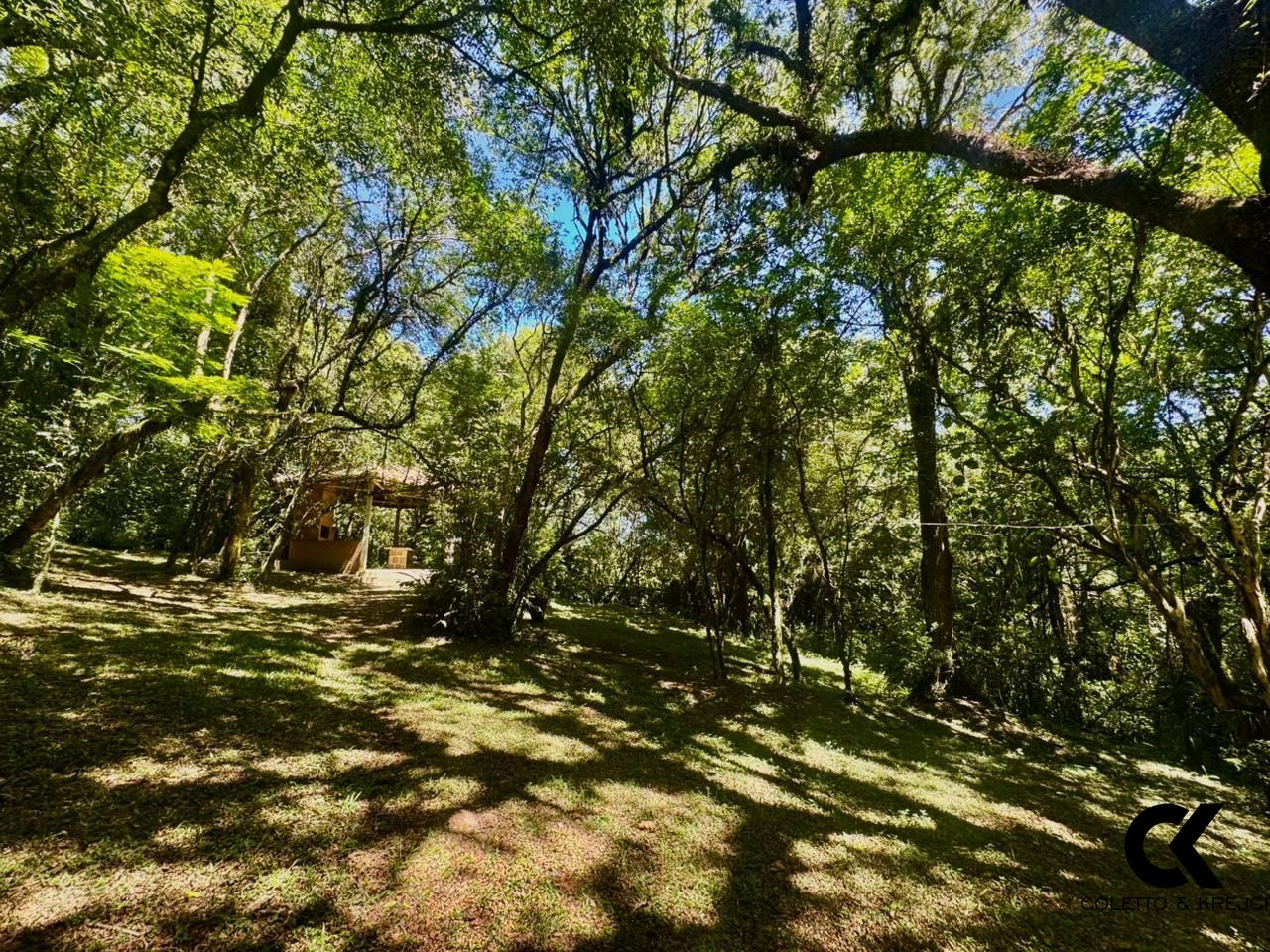 Chácara, 3 quartos, 3 hectares - Foto 11