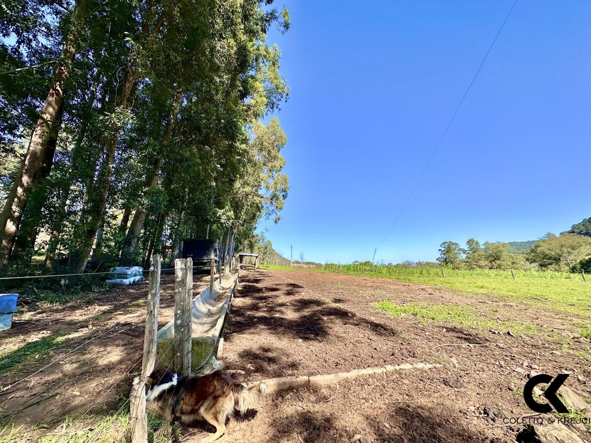 Fazenda à venda com 4 quartos, 240000m² - Foto 22