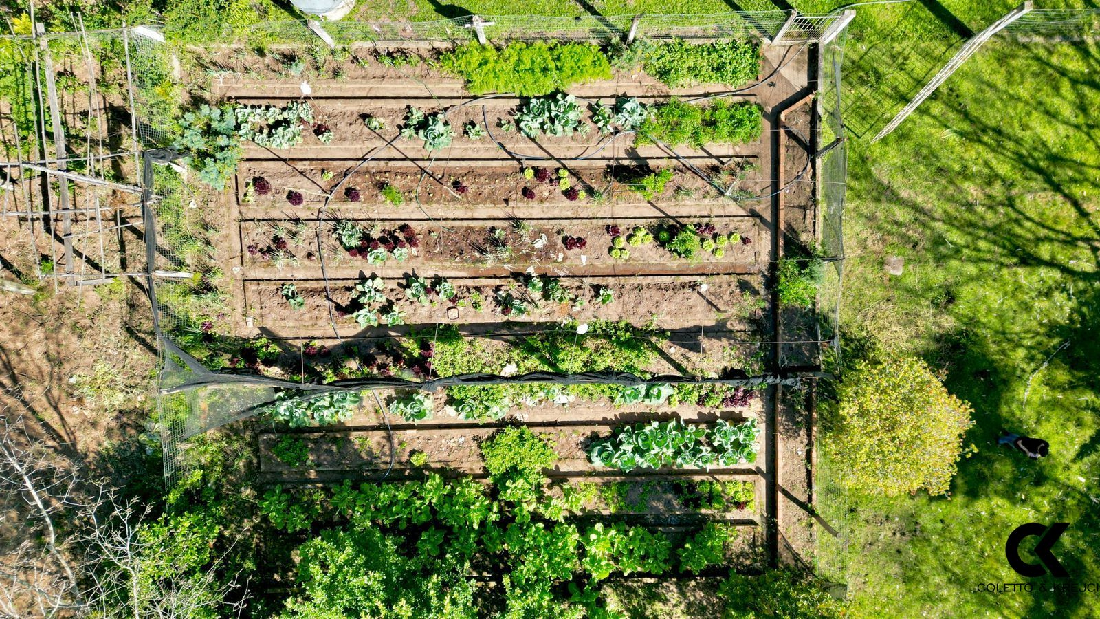 Fazenda à venda com 10 quartos, 600m² - Foto 34