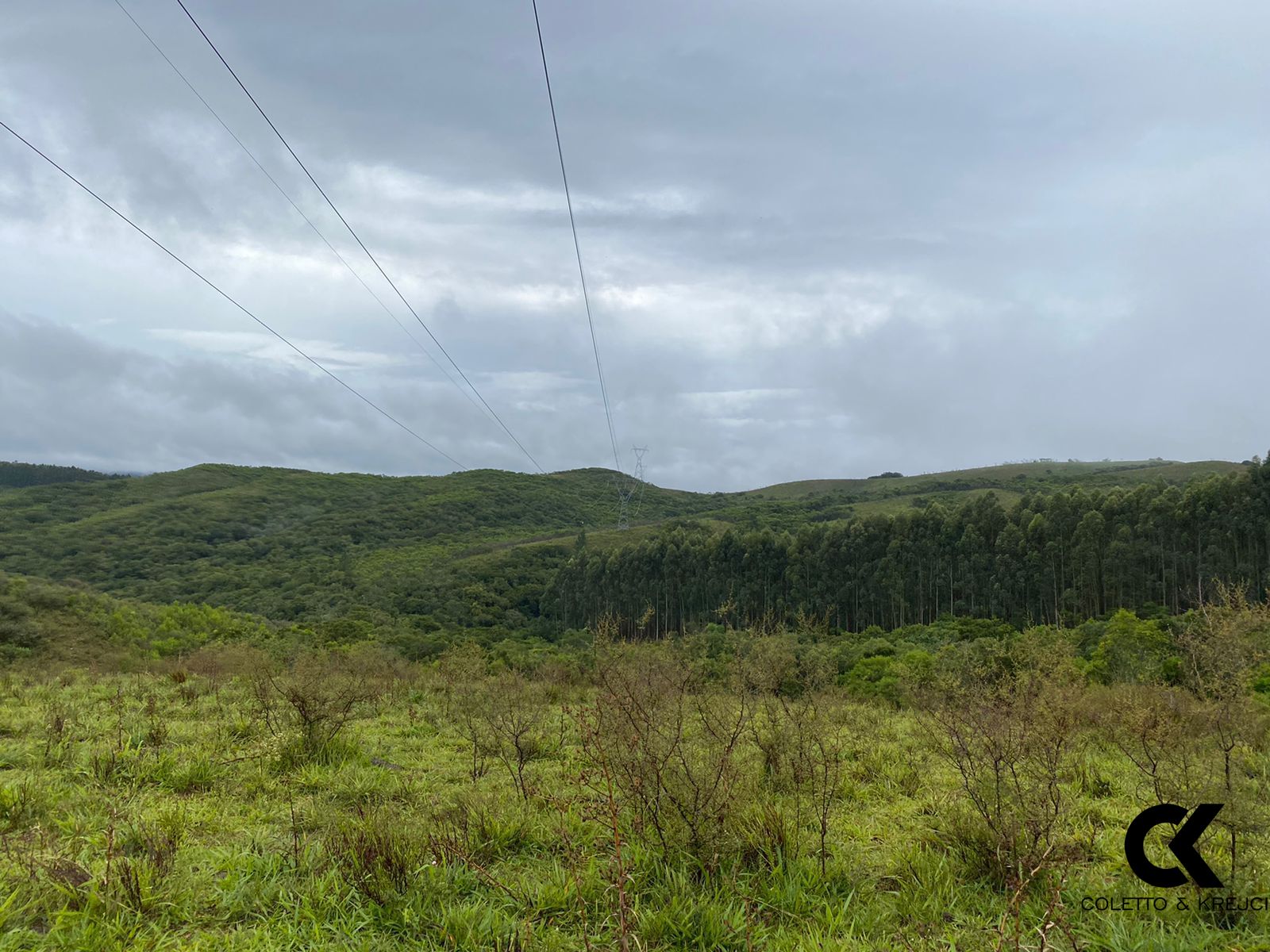 Fazenda à venda com 3 quartos, 5000000m² - Foto 5