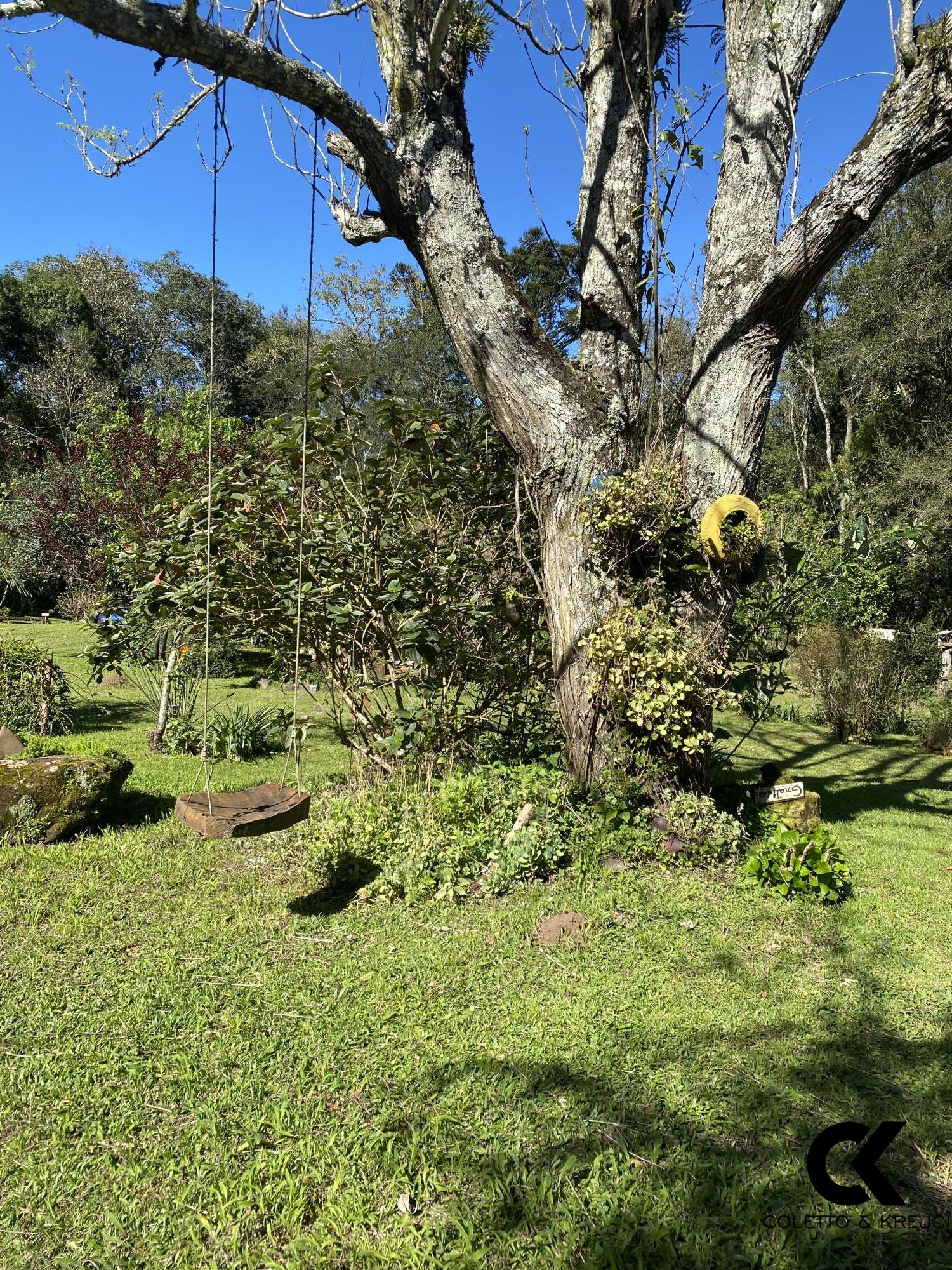 Fazenda à venda com 2 quartos, 20000m² - Foto 36