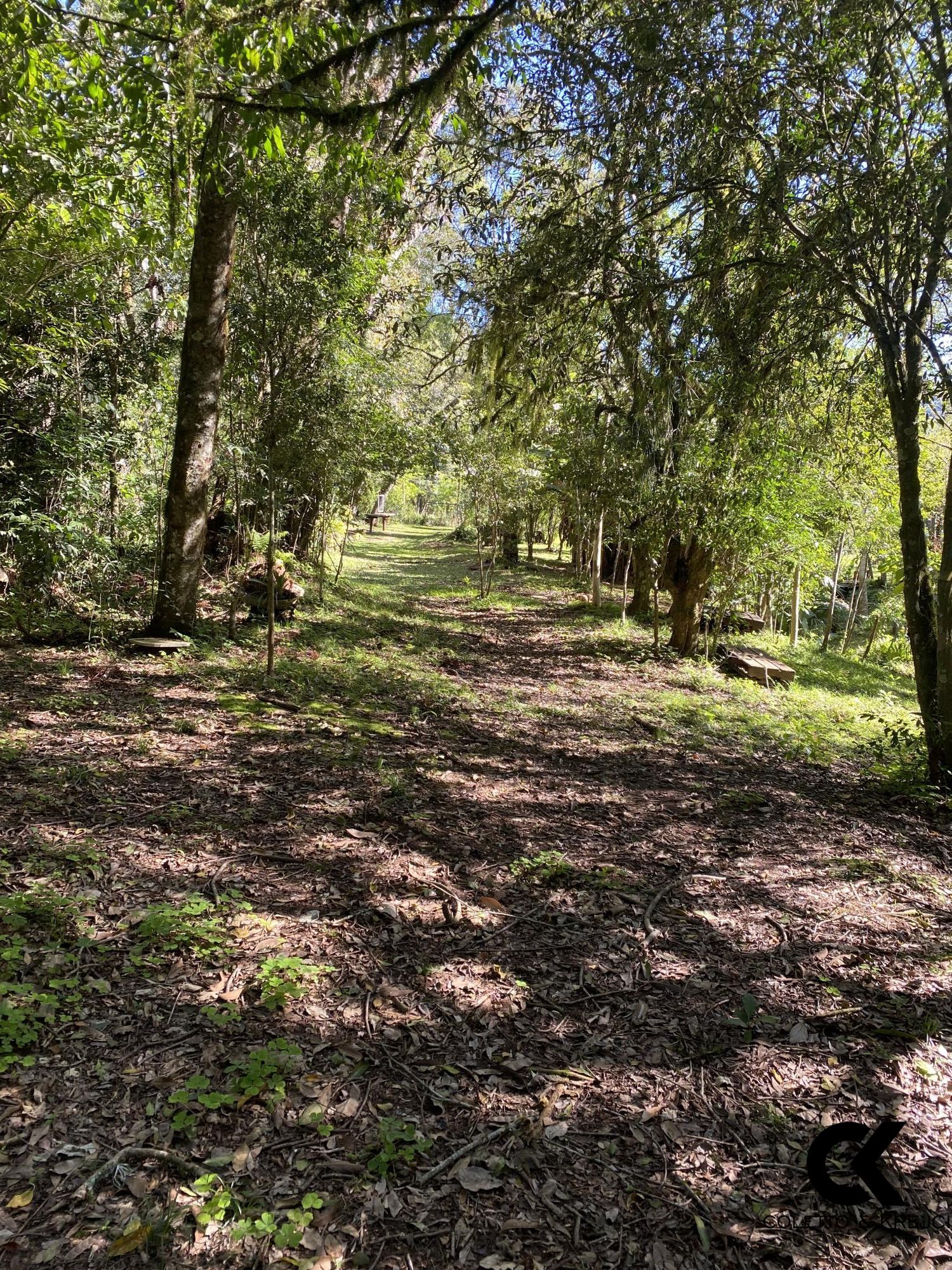 Fazenda à venda com 2 quartos, 20000m² - Foto 13