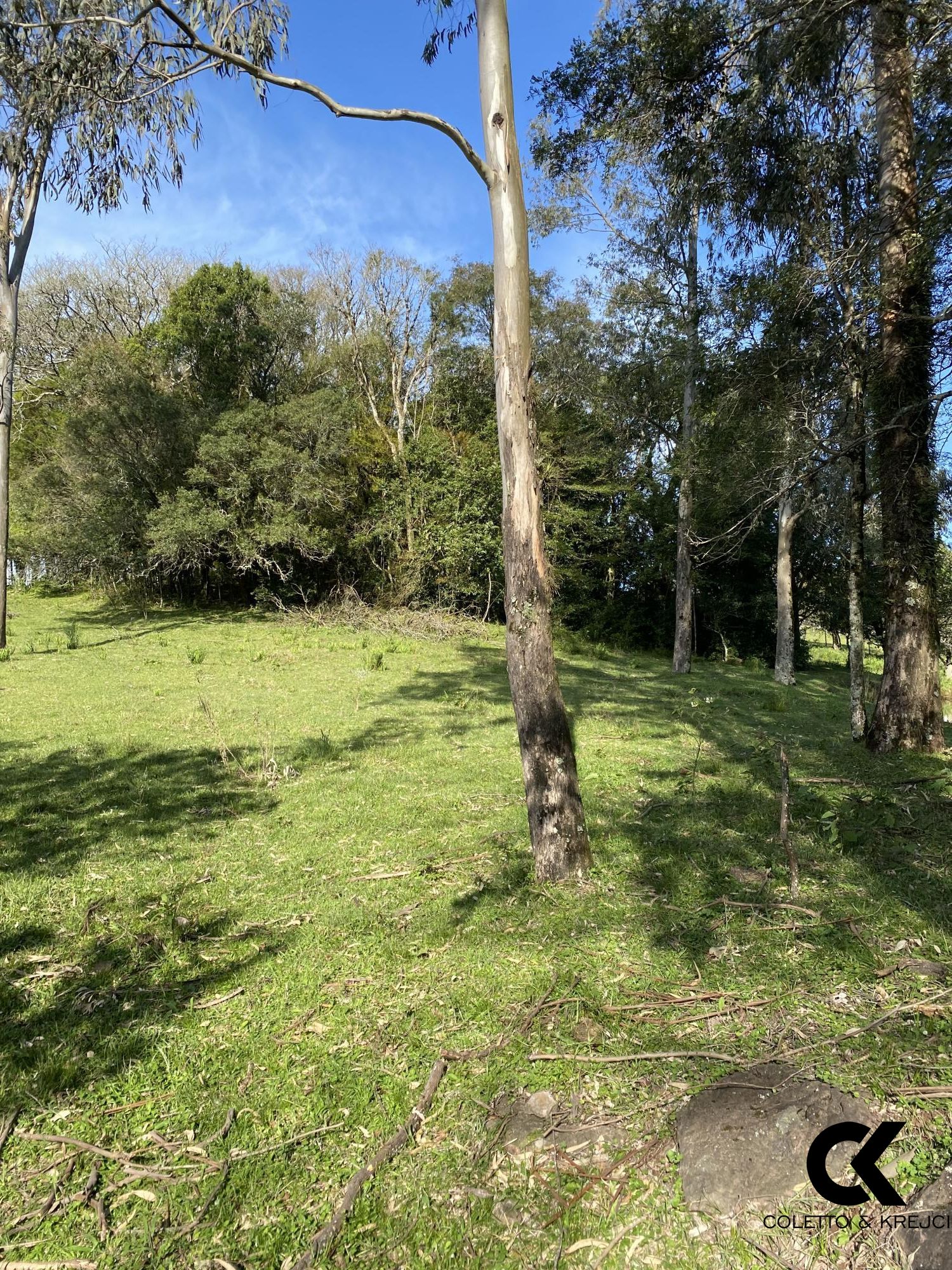 Chácara, 4 hectares - Foto 28