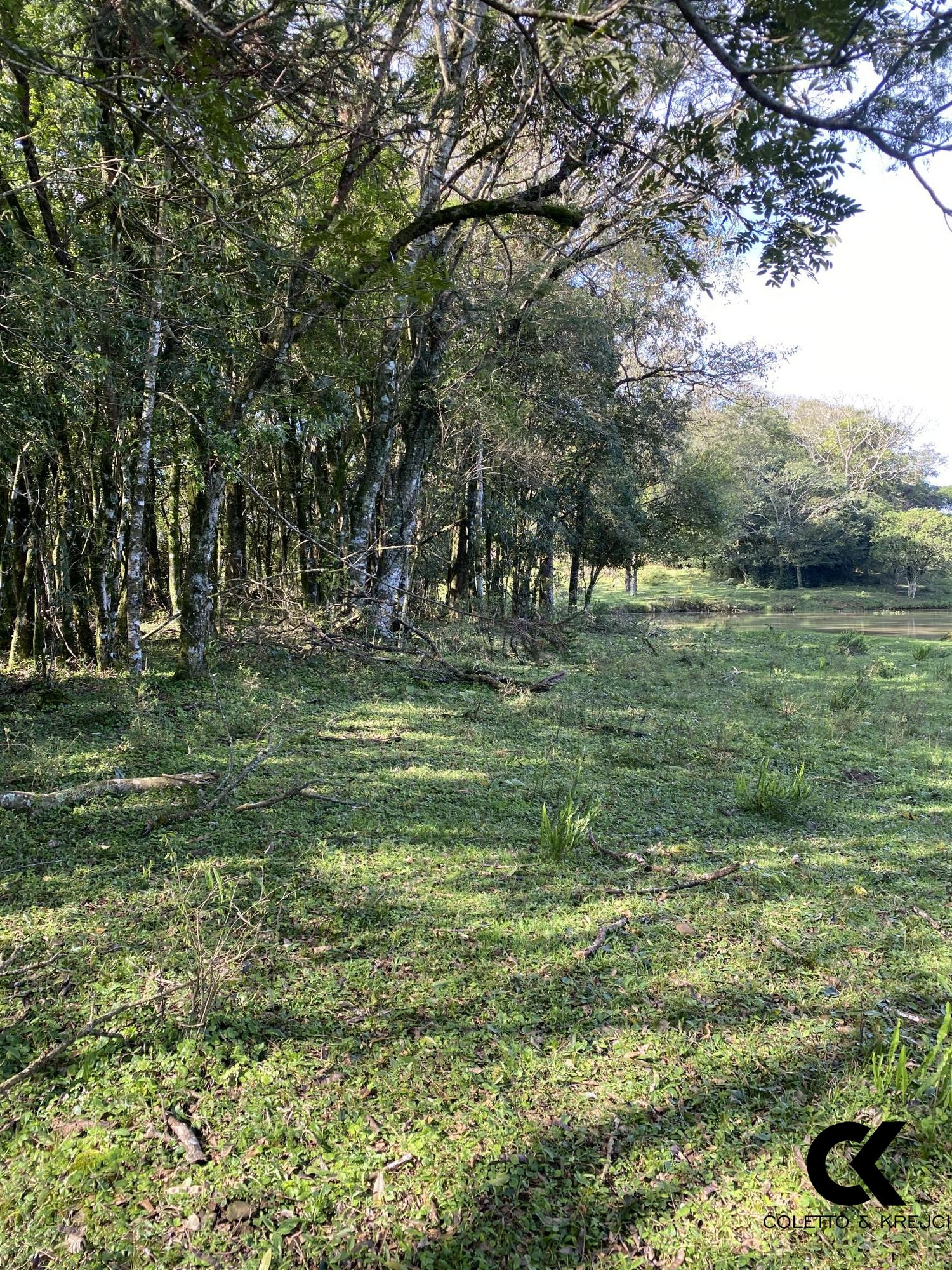 Chácara, 4 hectares - Foto 23