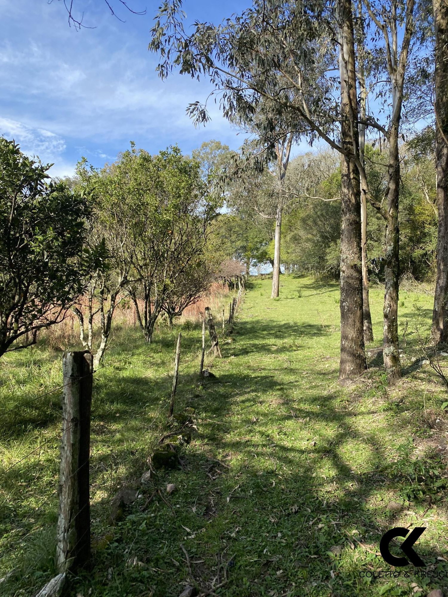 Chácara, 4 hectares - Foto 27