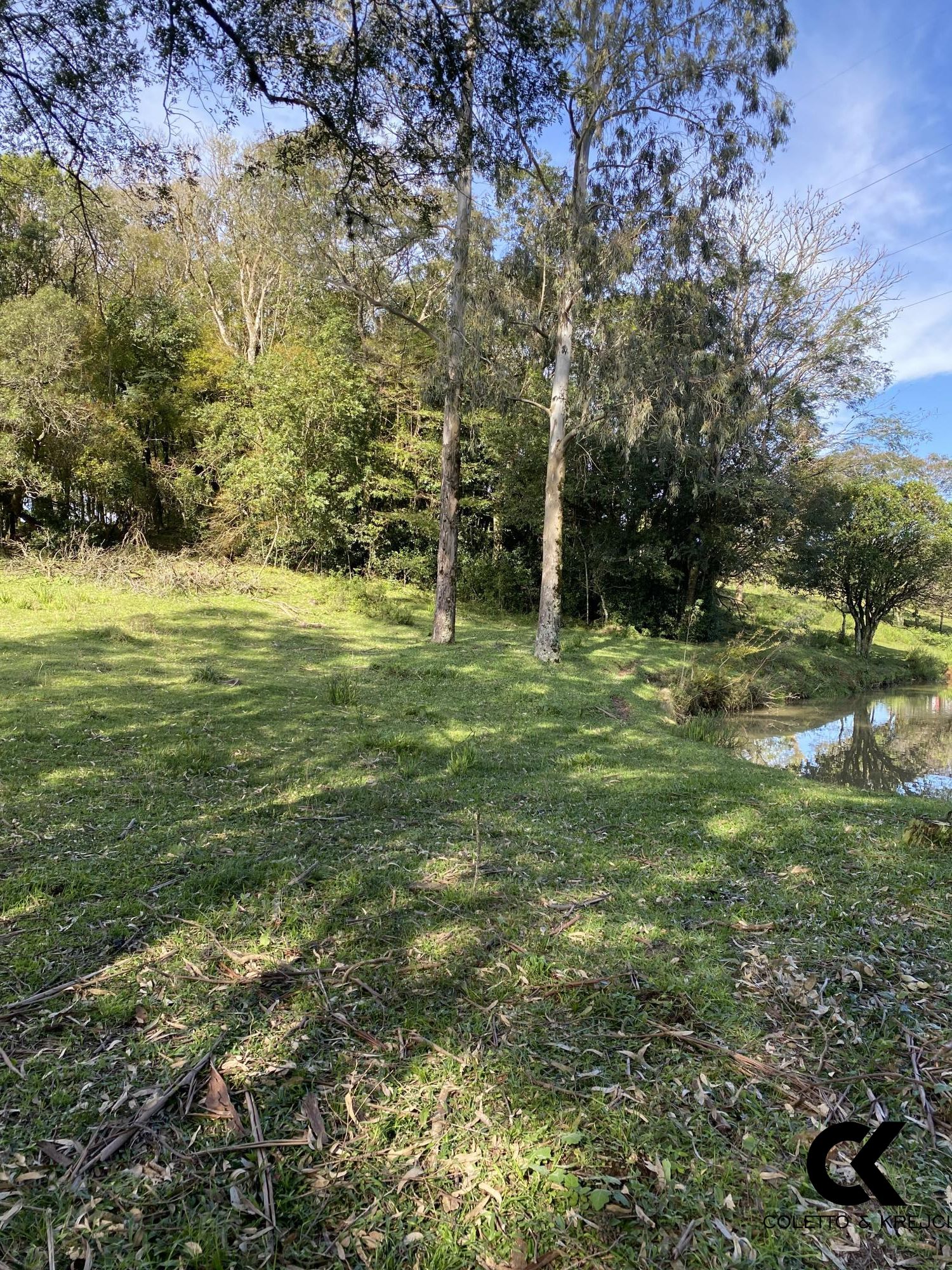 Chácara, 4 hectares - Foto 16