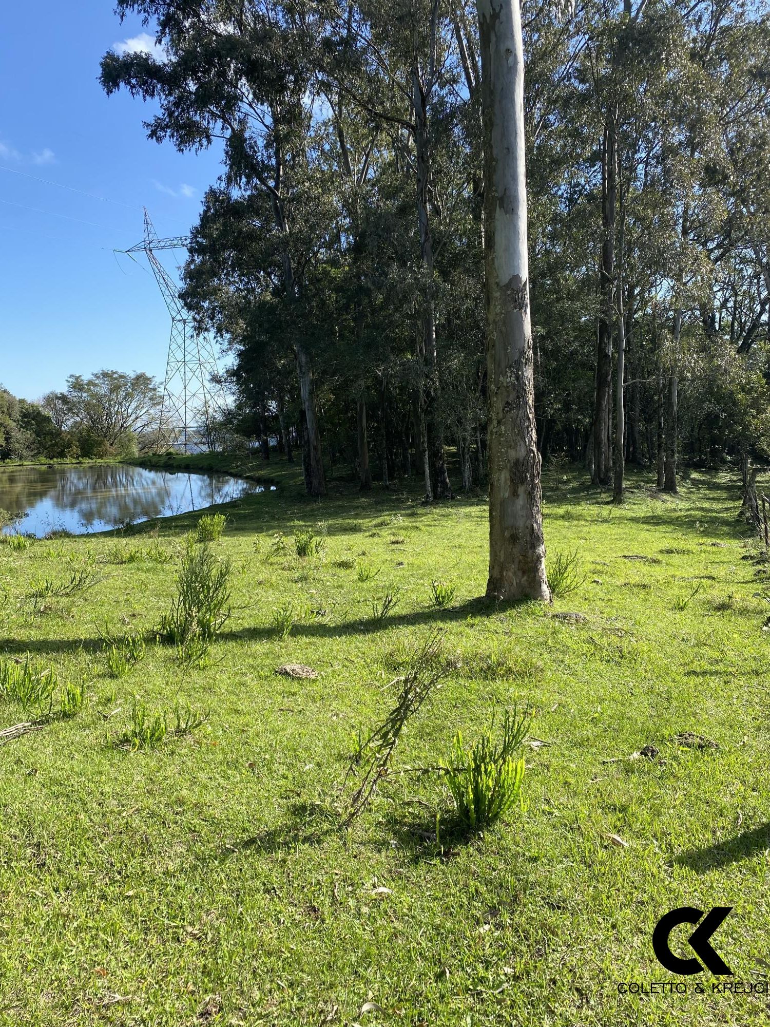 Loteamento e Condomínio à venda, 38500m² - Foto 2