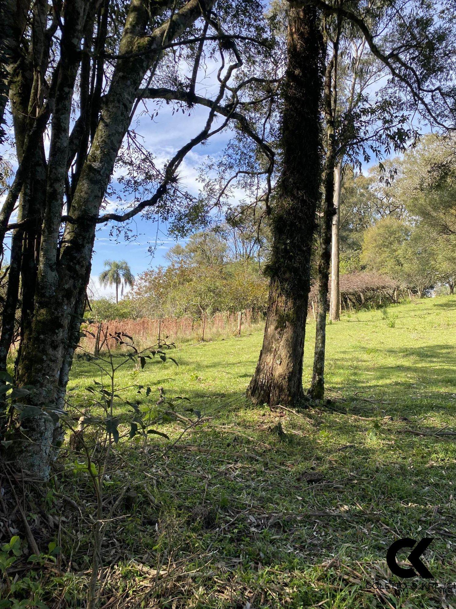 Chácara, 4 hectares - Foto 20