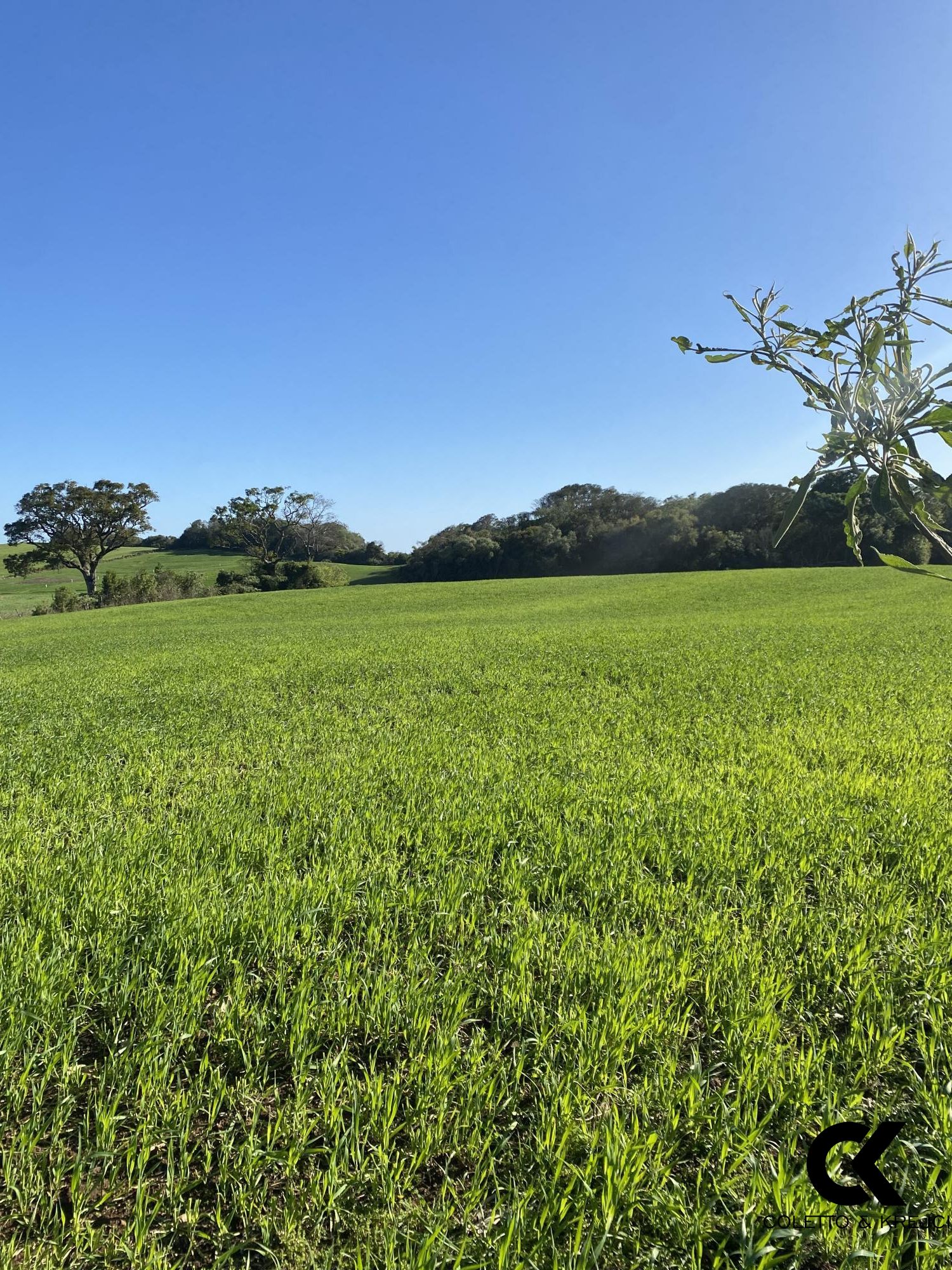 Loteamento e Condomínio à venda, 20000m² - Foto 3