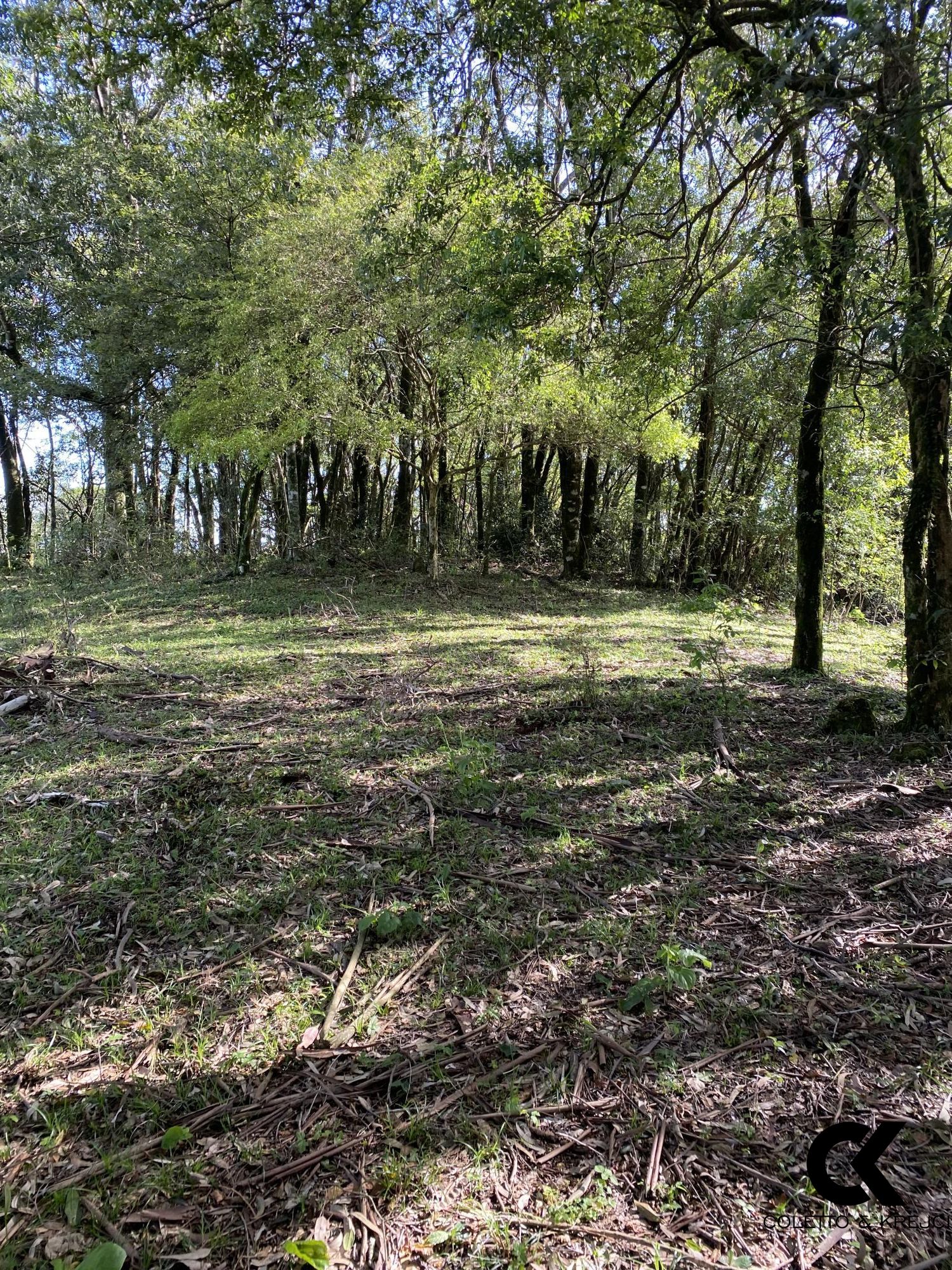 Chácara, 4 hectares - Foto 19