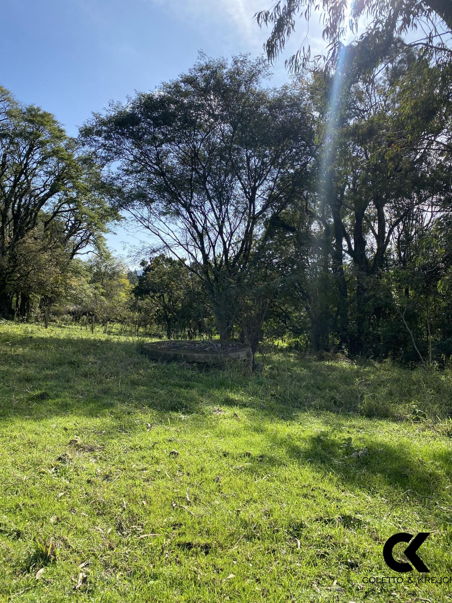 Chácara, 4 hectares - Foto 6