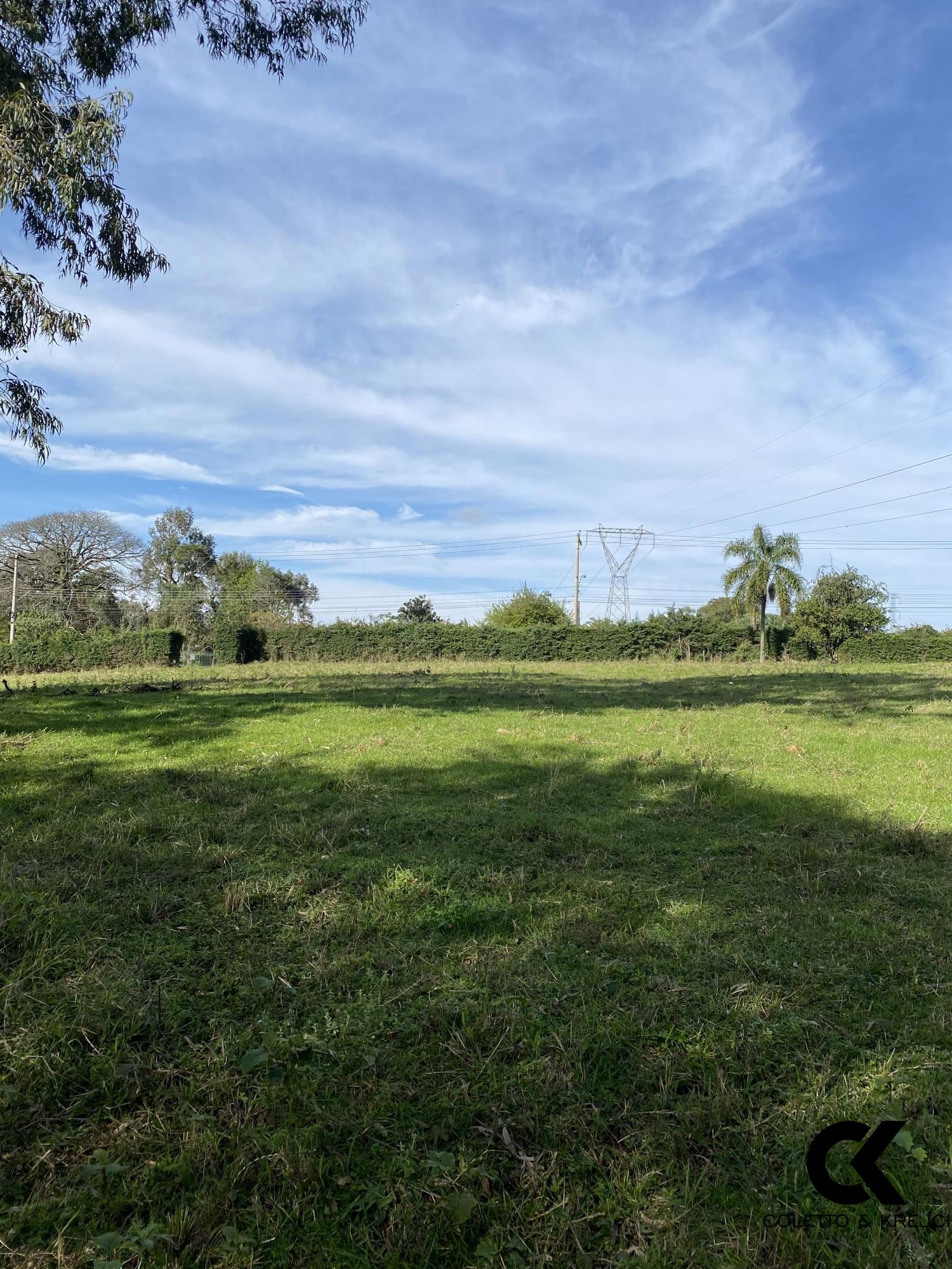 Chácara, 4 hectares - Foto 4