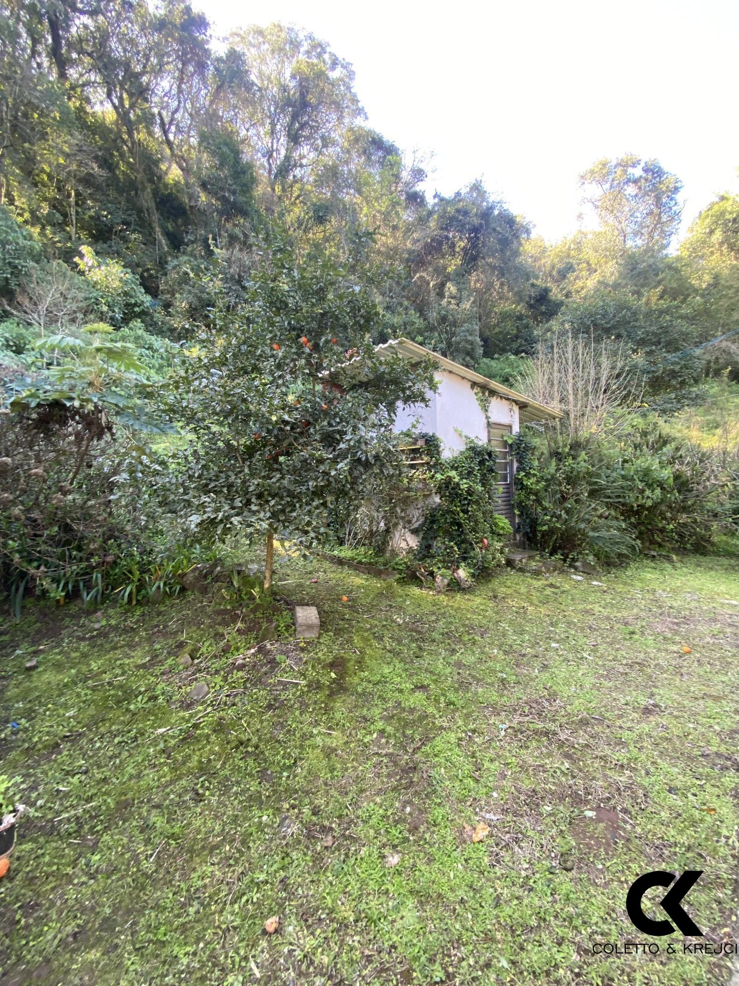 Fazenda à venda com 2 quartos, 20000m² - Foto 7