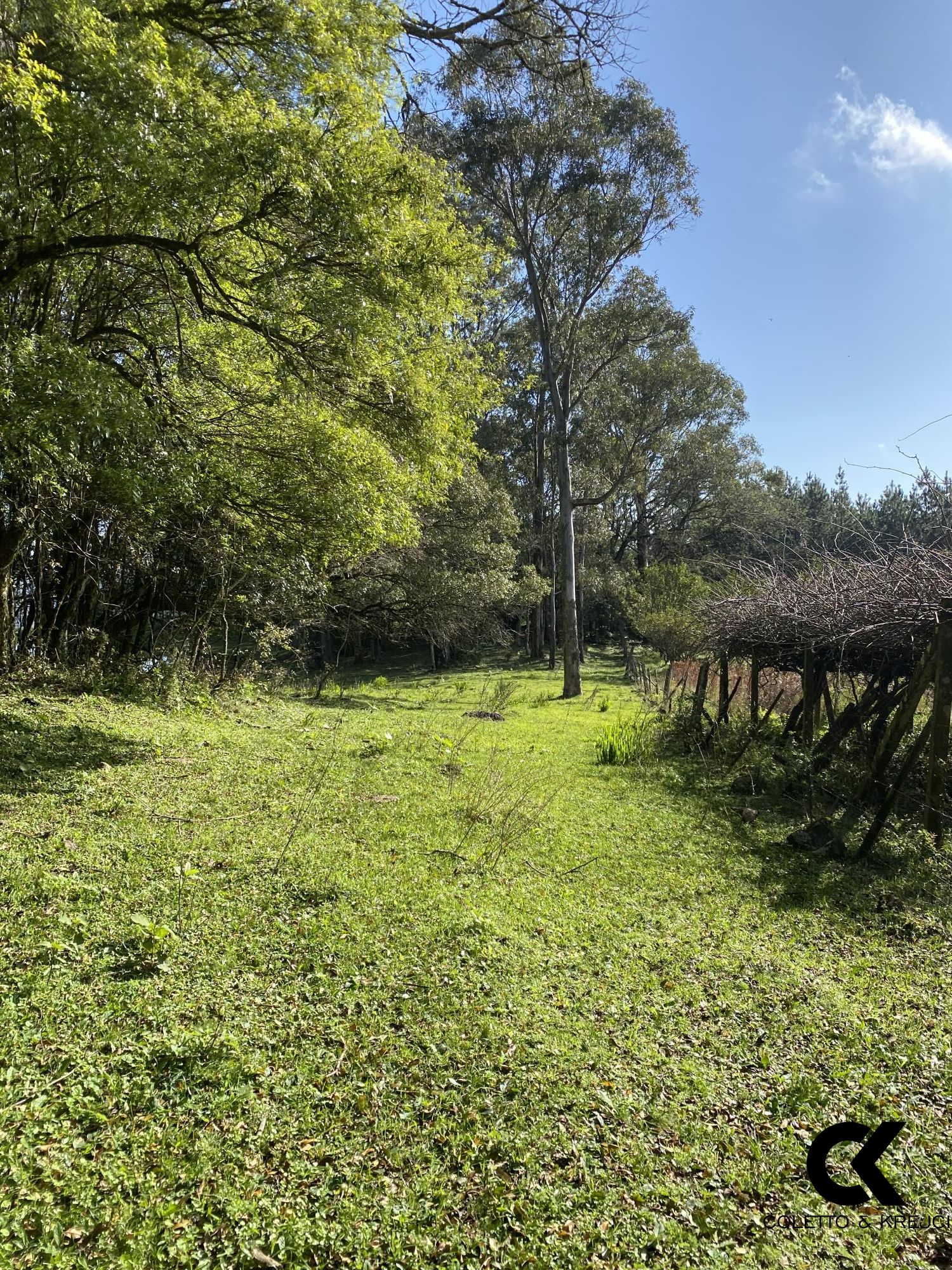 Chácara, 4 hectares - Foto 9