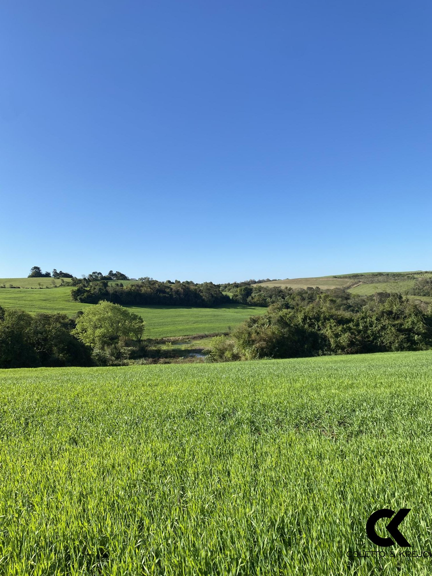 Chácara, 3 hectares - Foto 1