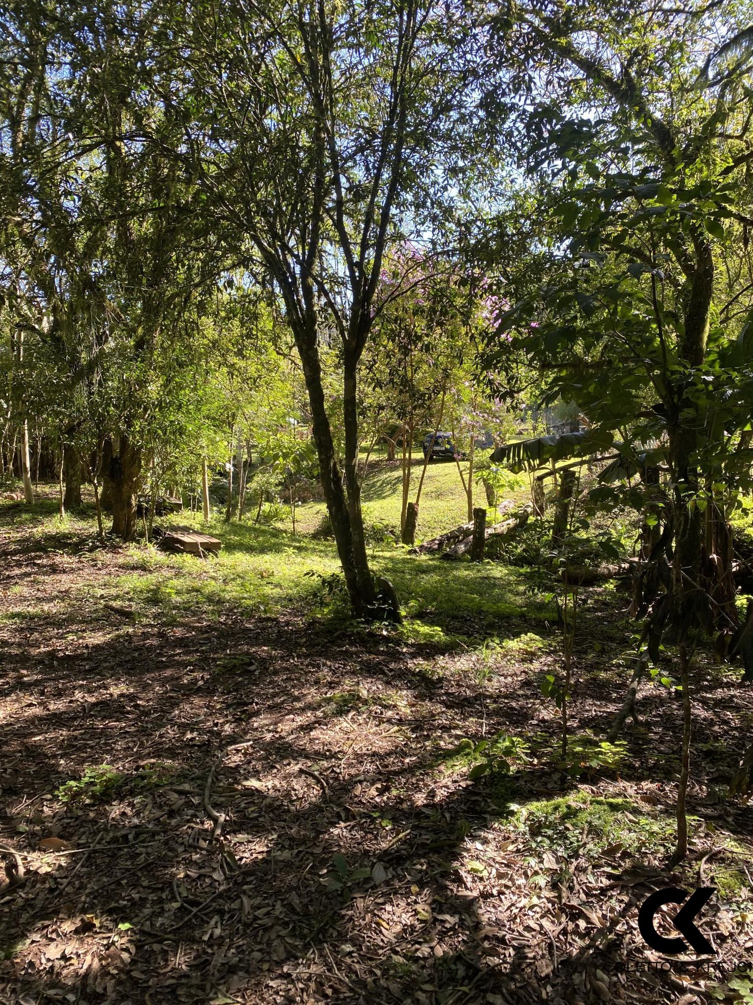 Fazenda à venda com 2 quartos, 20000m² - Foto 32