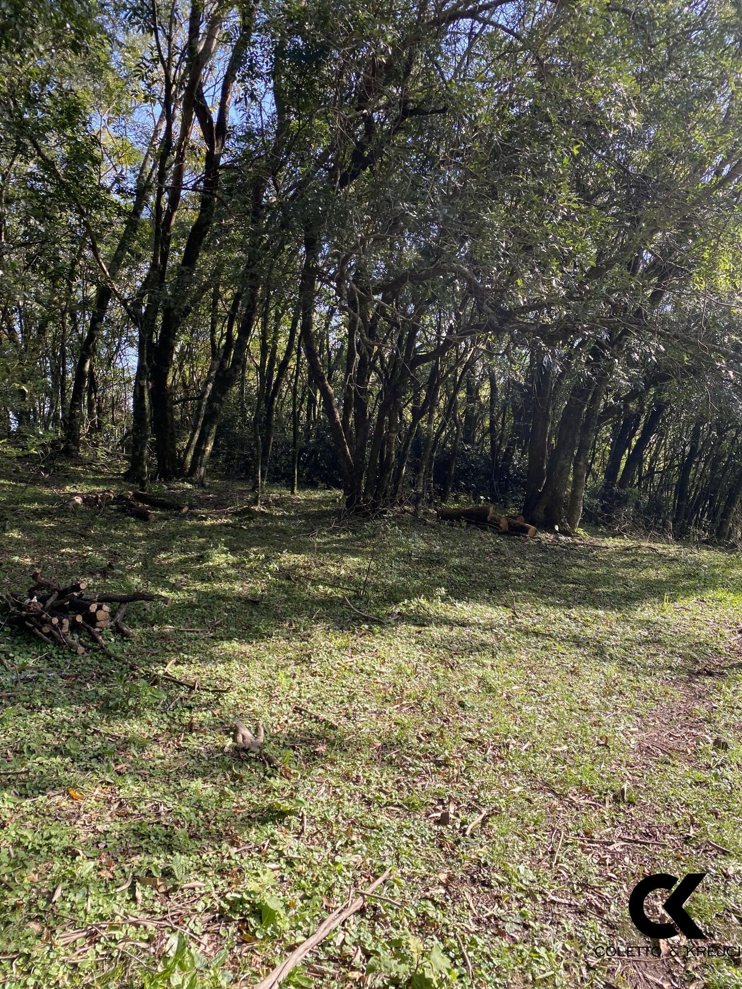 Chácara, 4 hectares - Foto 25