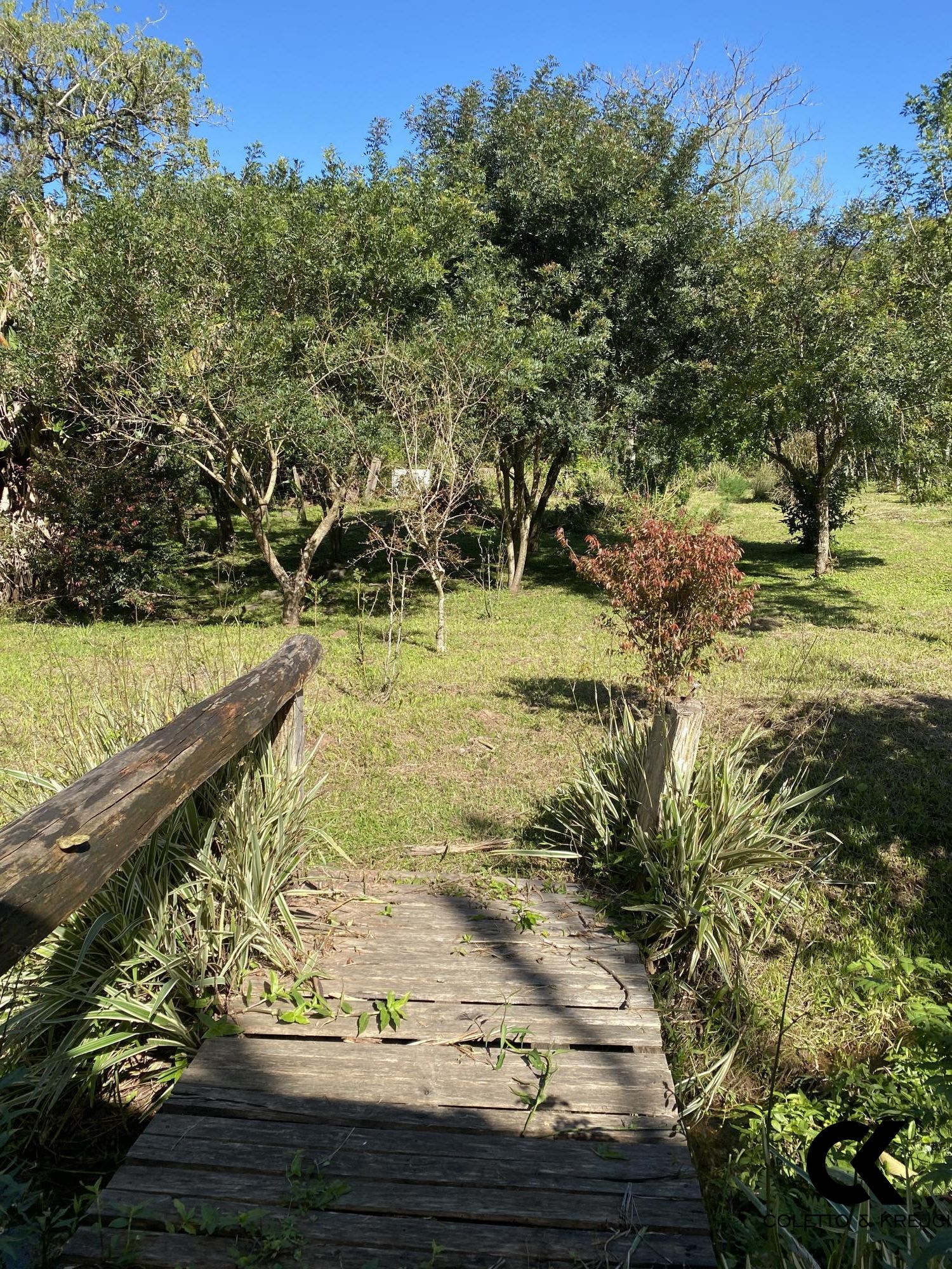 Fazenda à venda com 2 quartos, 20000m² - Foto 37