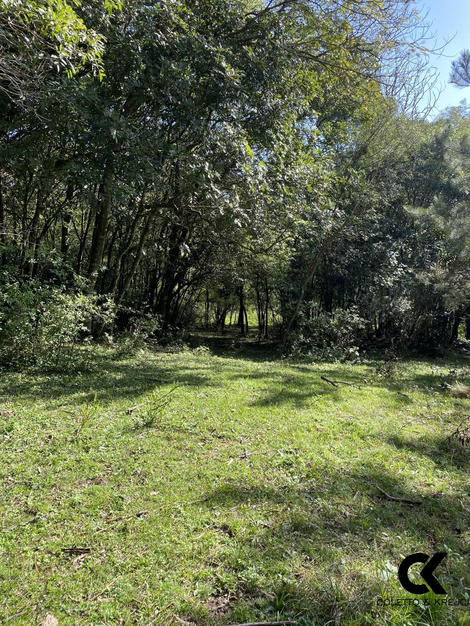 Chácara, 4 hectares - Foto 29