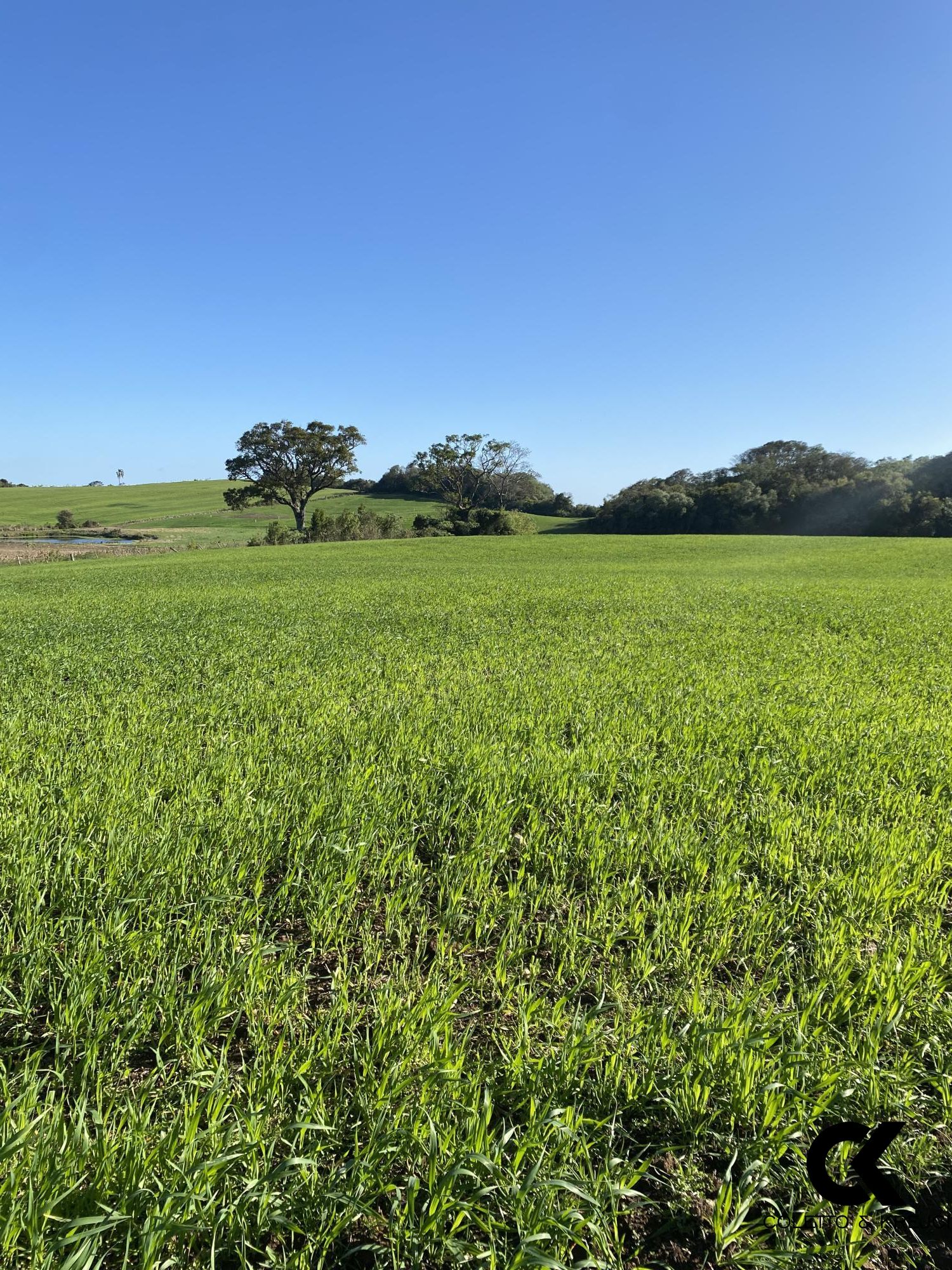 Loteamento e Condomínio à venda, 20000m² - Foto 1